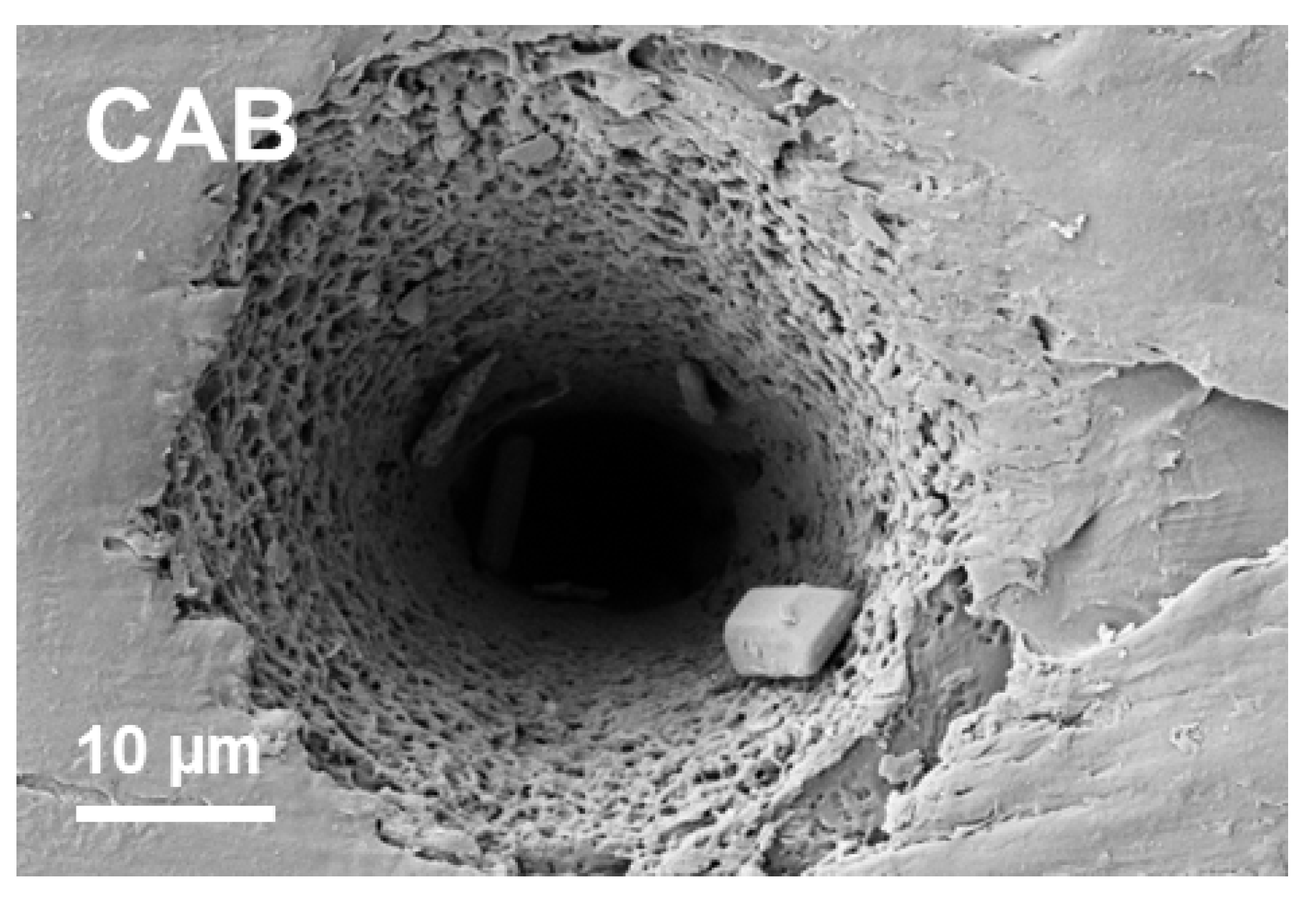 Applsci 15 06754 g004