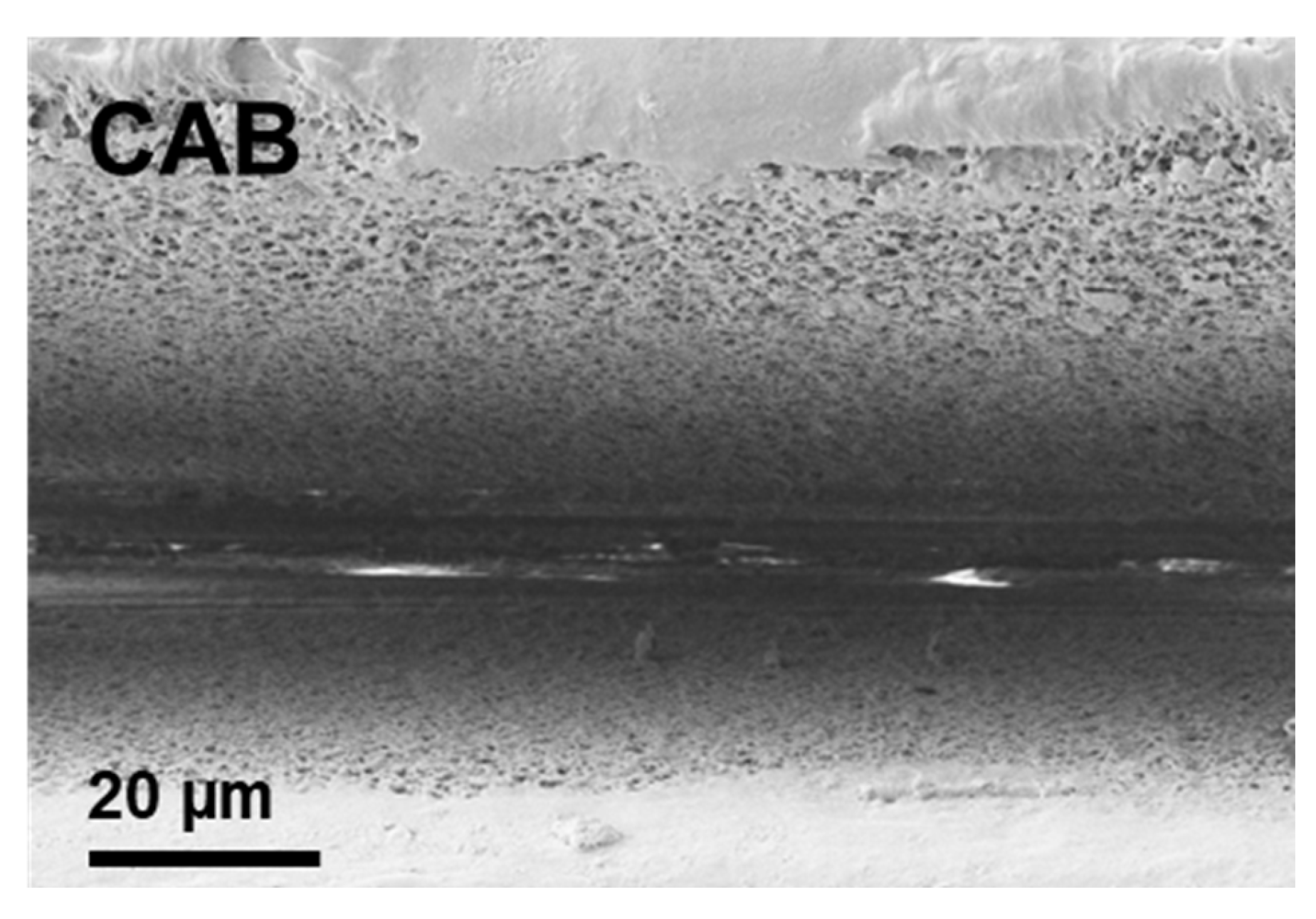 Applsci 15 06754 g006