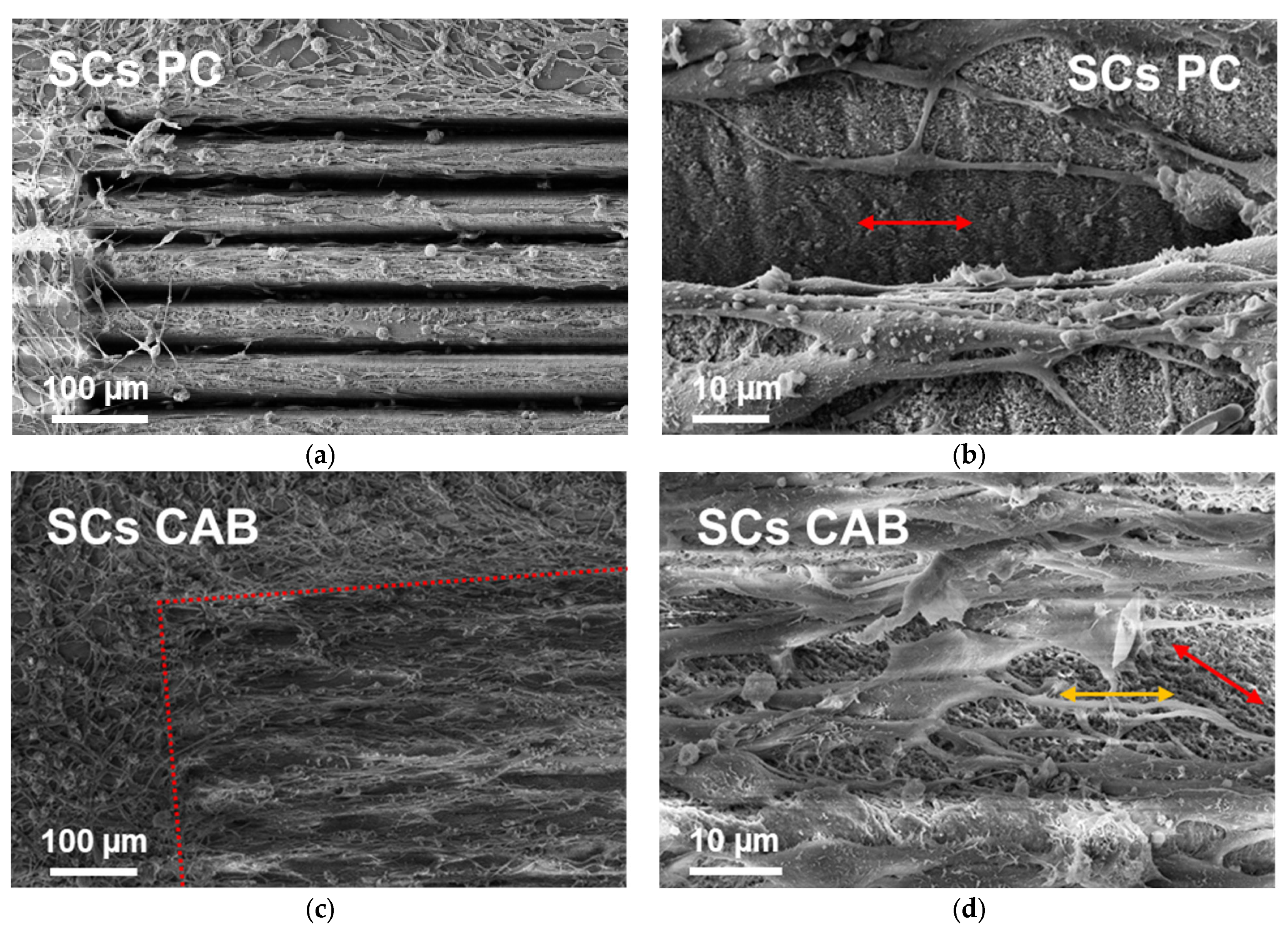 Applsci 15 06754 g007