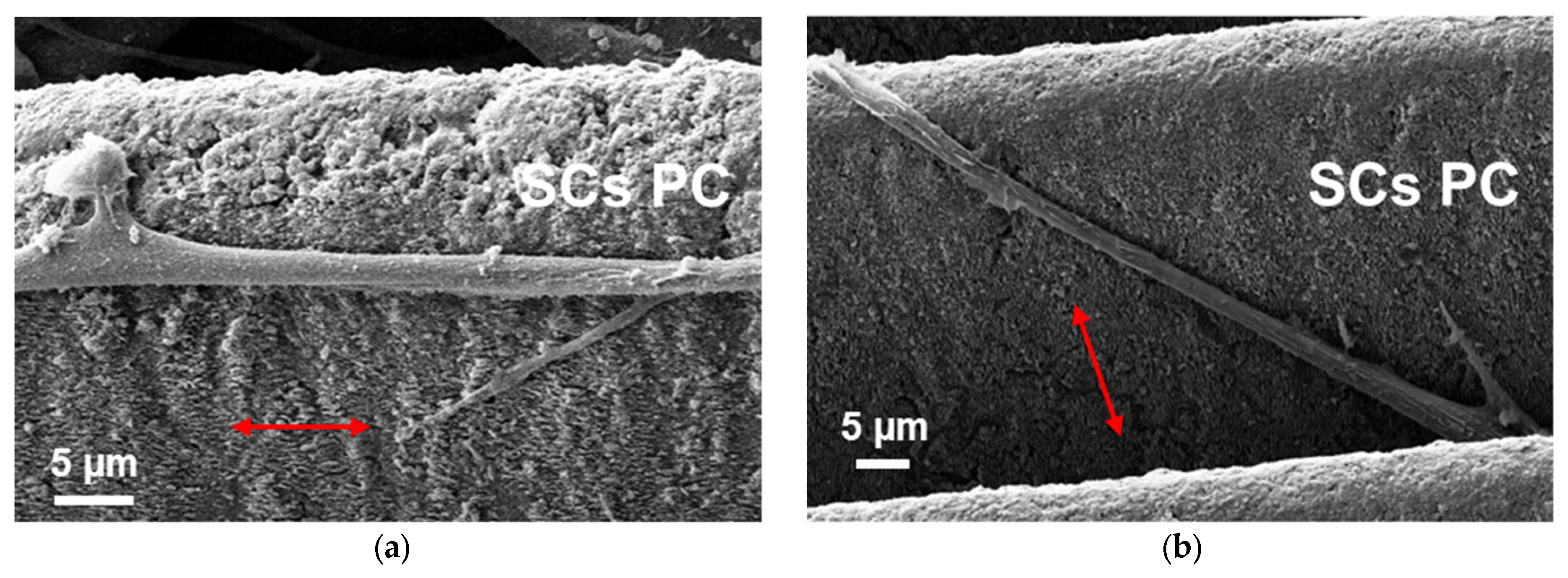 Applsci 15 06754 g008