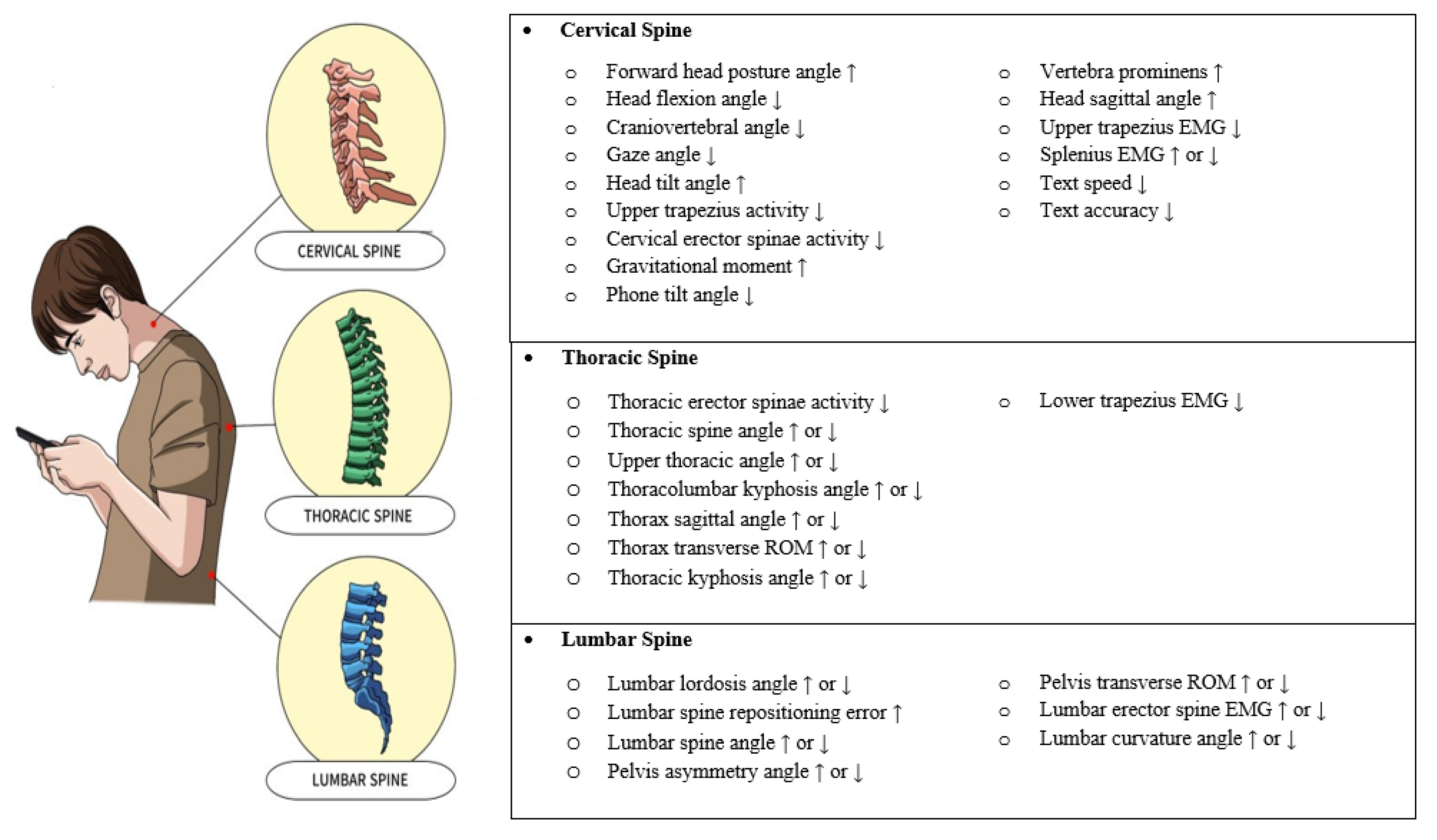 Applsci 15 06770 g002 Applsci 15 06770 g002