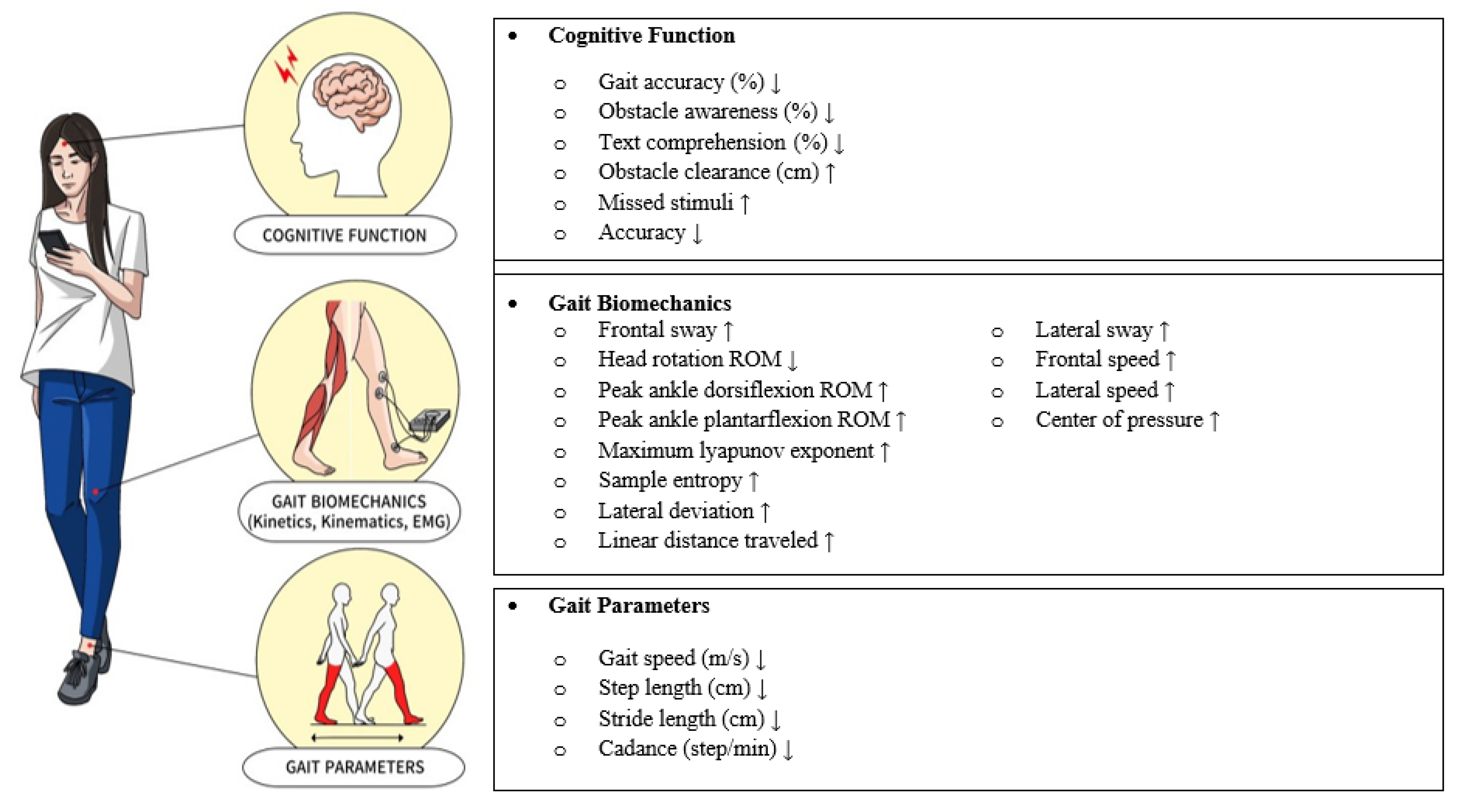 Applsci 15 06770 g003 Applsci 15 06770 g003