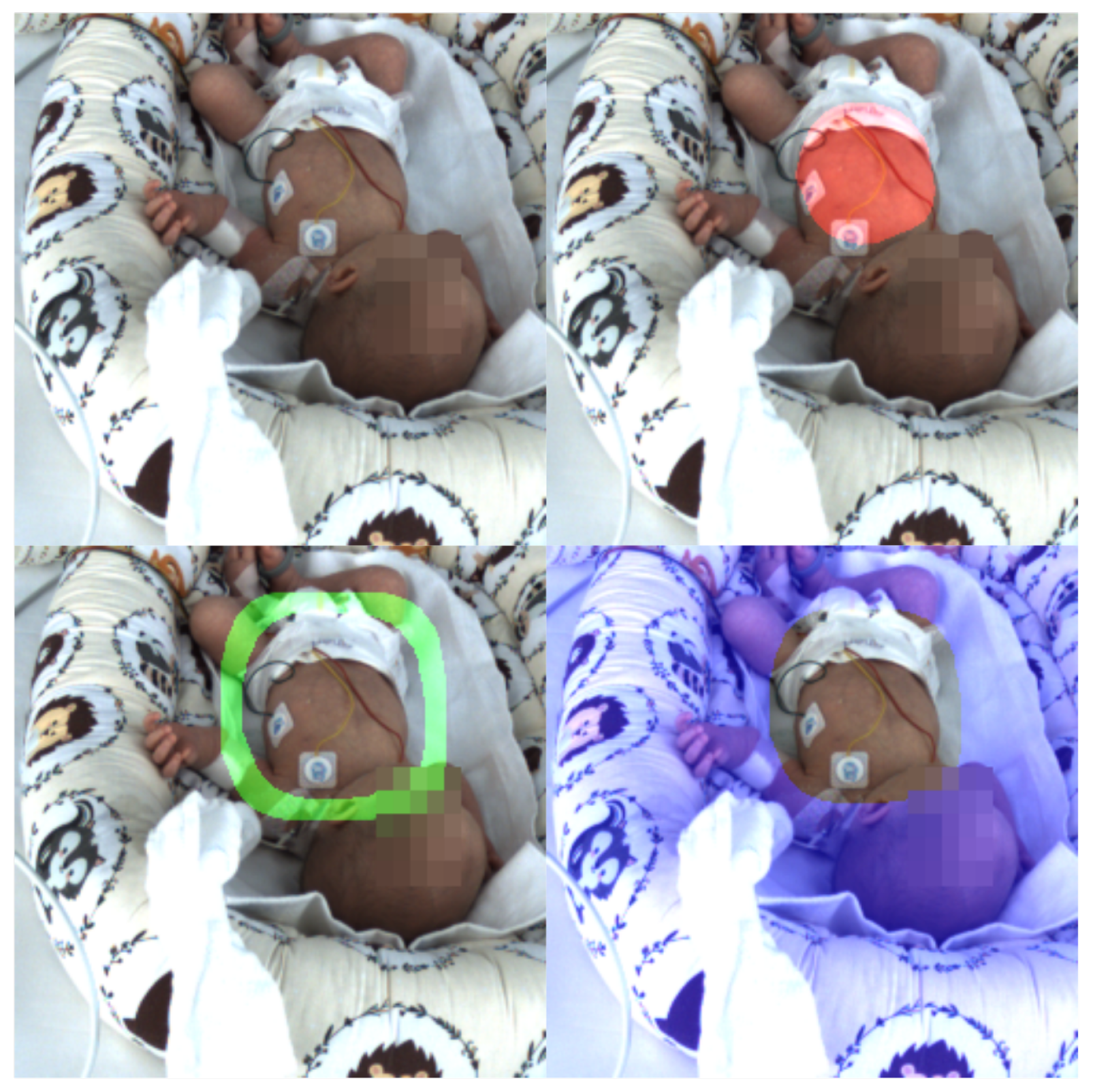 Applsci 15 06779 g002