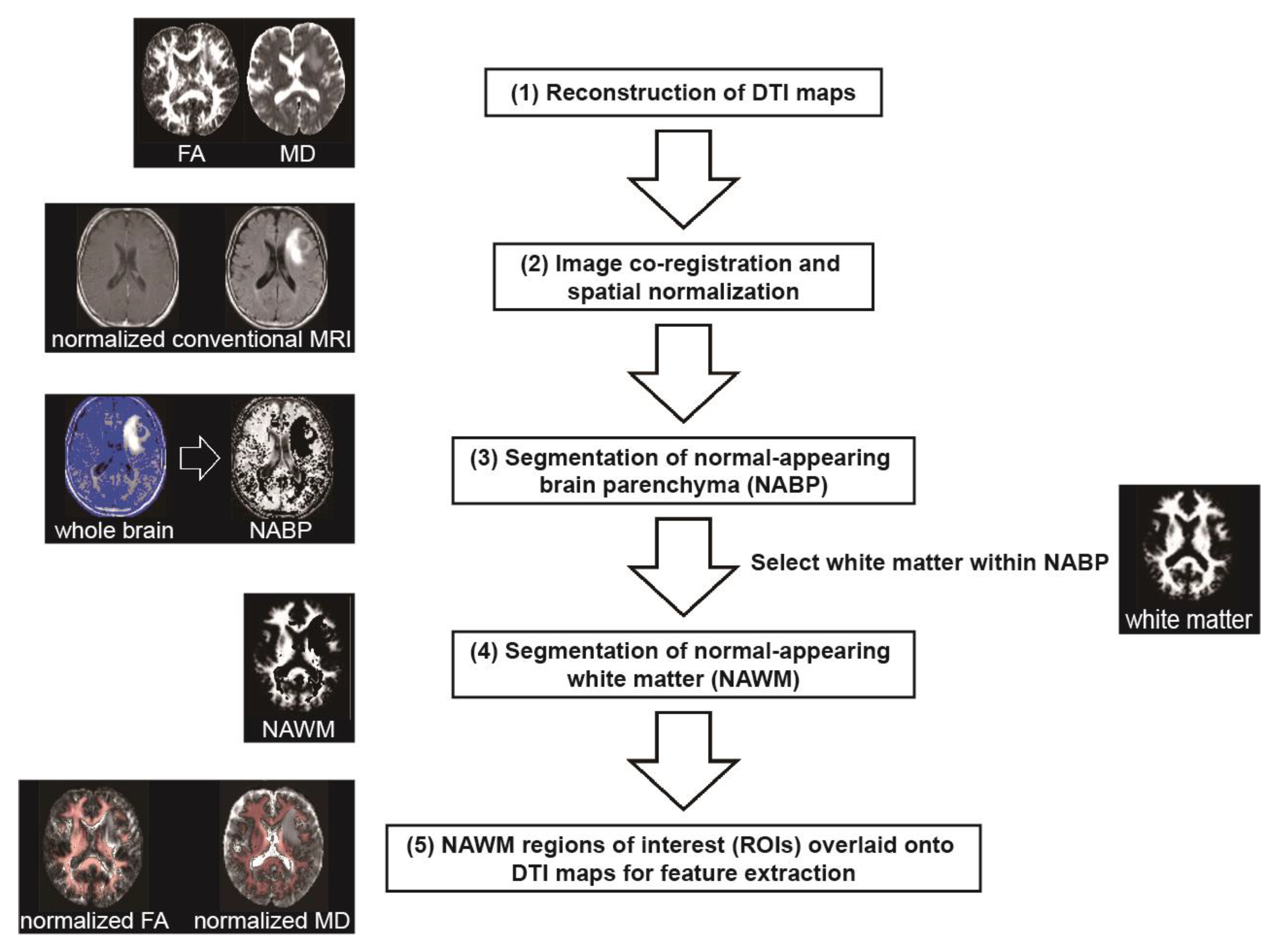 Applsci 15 06794 g001