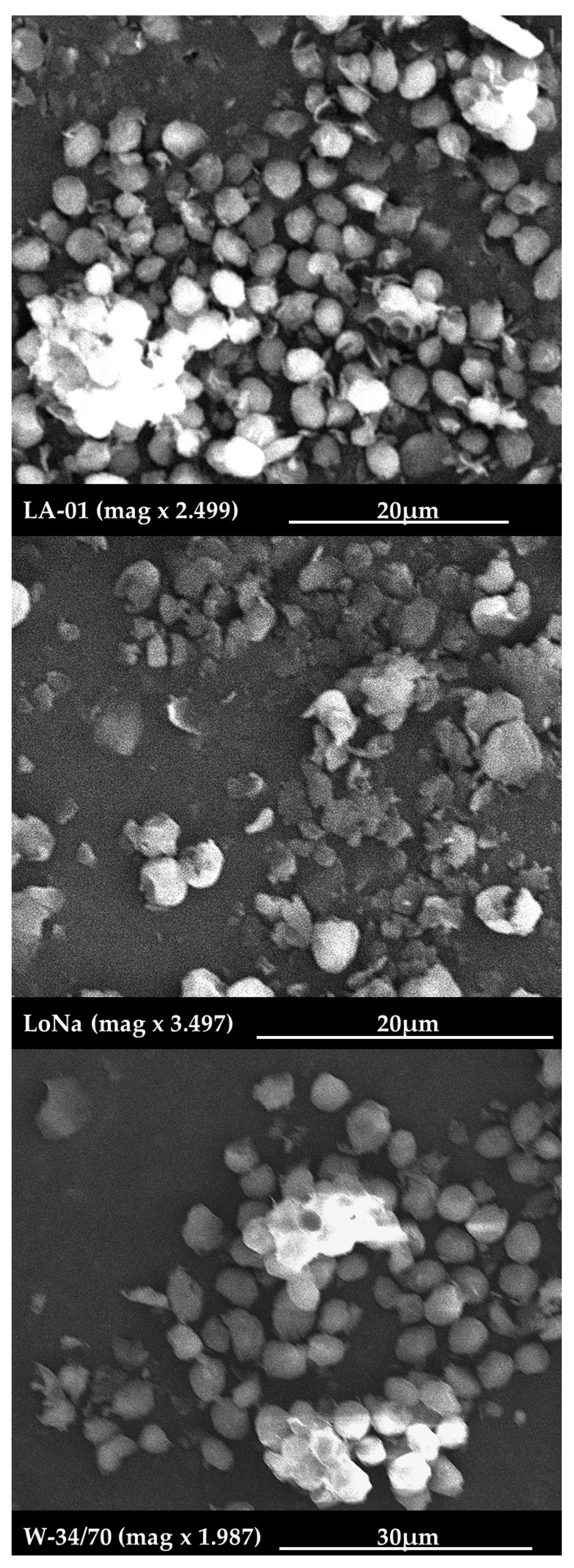 Applsci 15 06797 g001