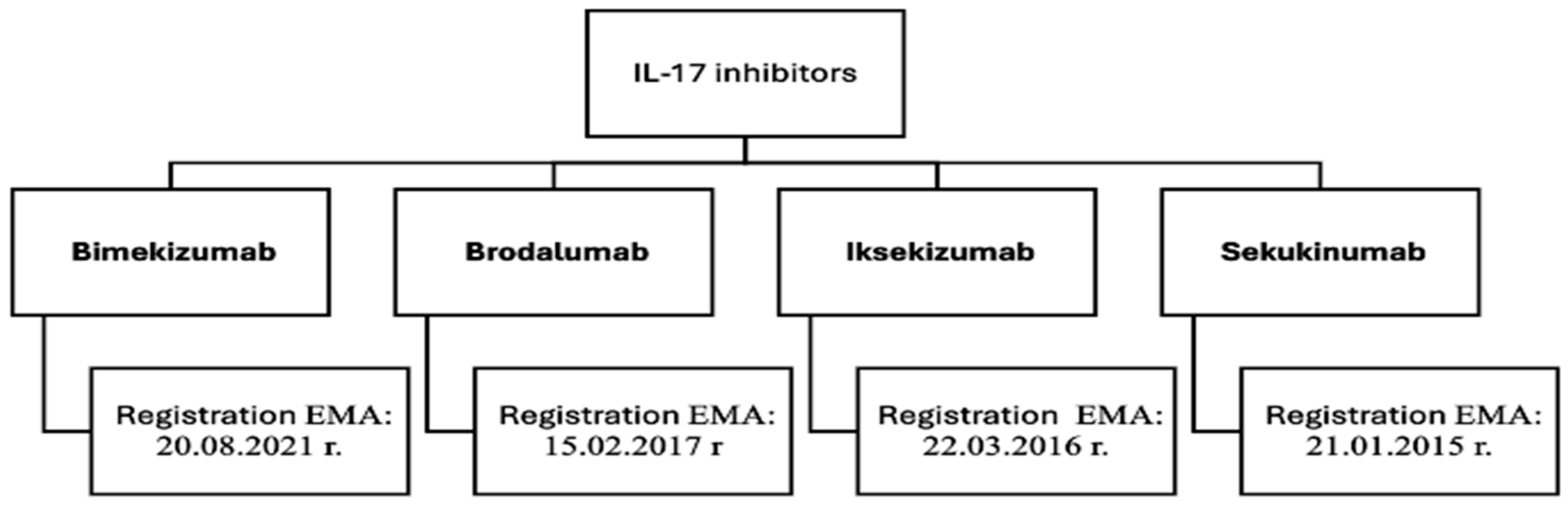 Applsci 15 06811 g002