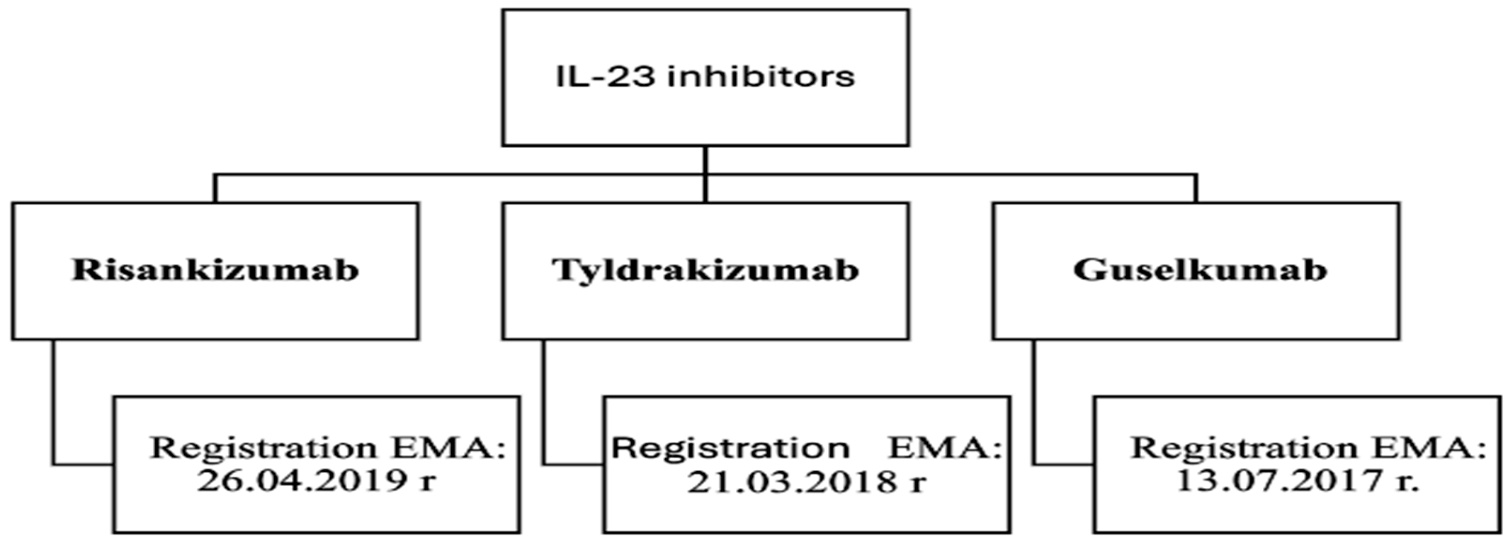 Applsci 15 06811 g003