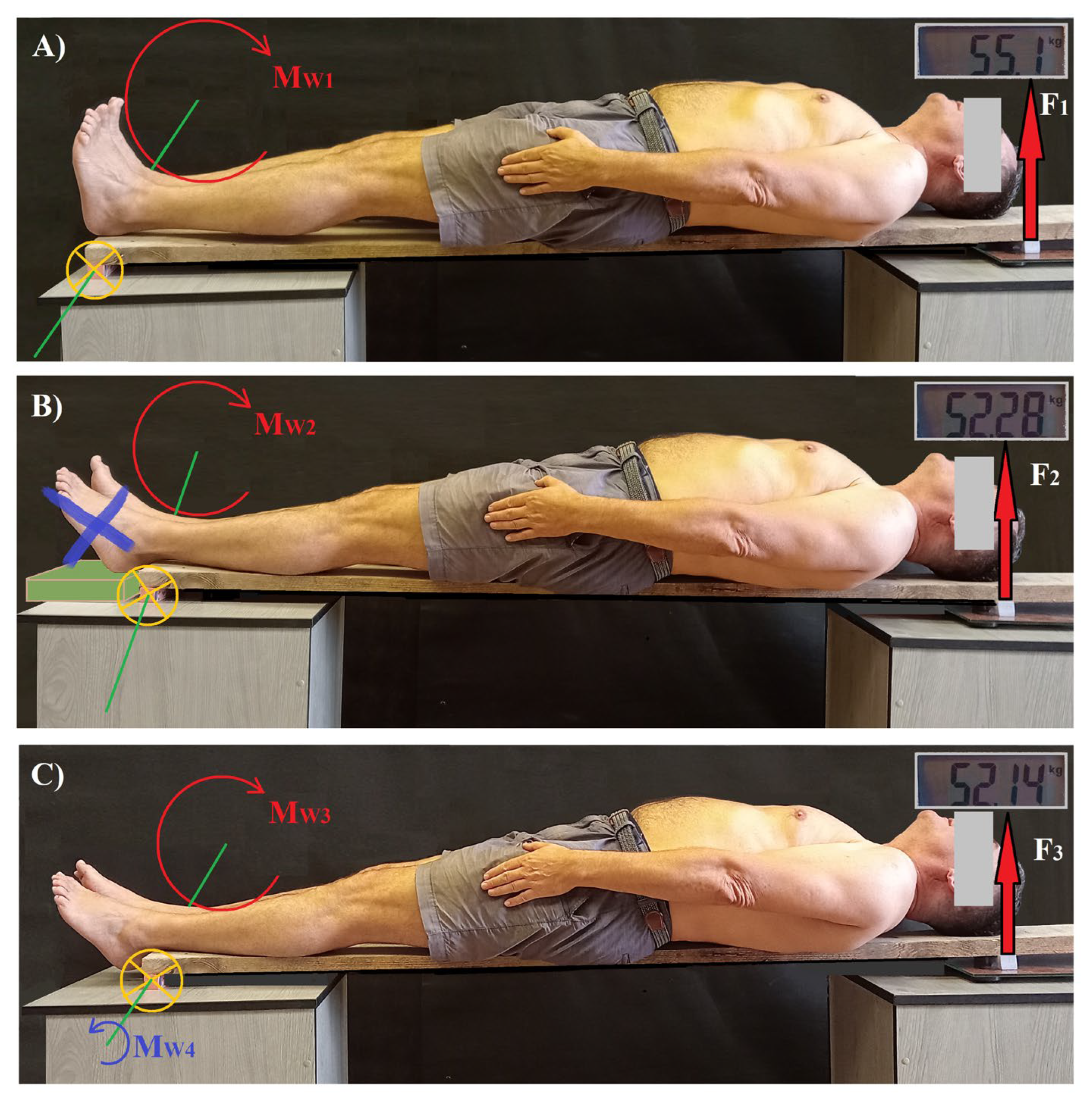 Applsci 15 06812 g001