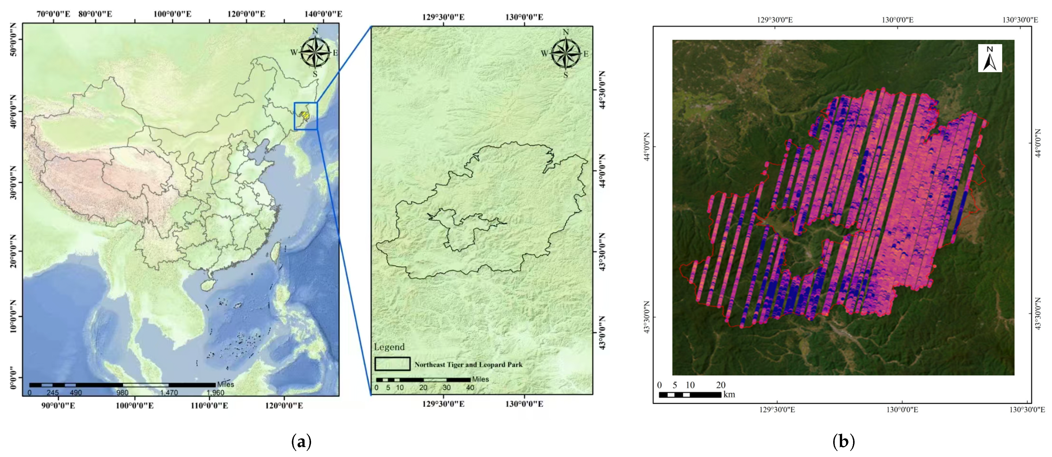 Applsci 15 06824 g002