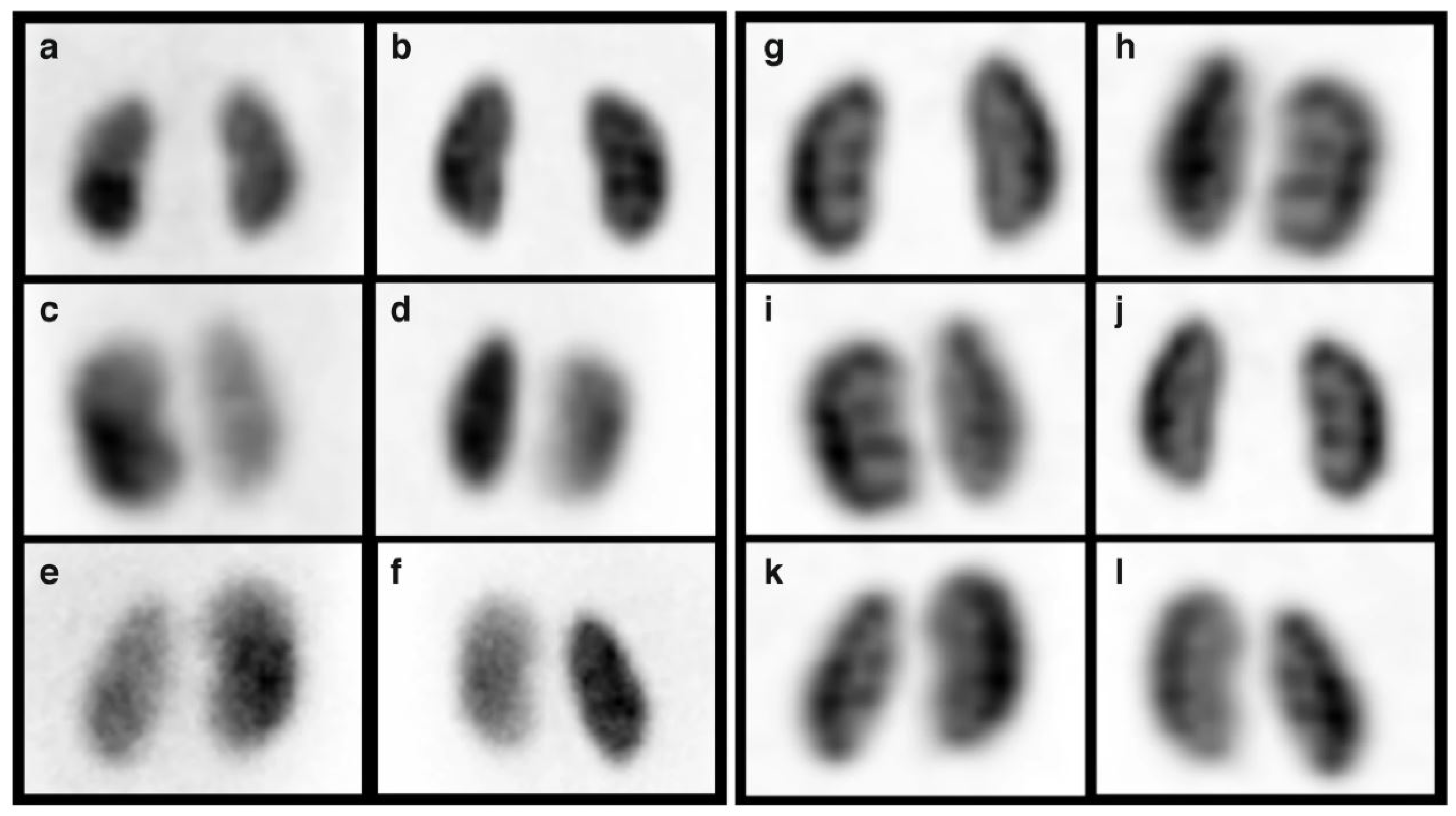 Applsci 15 06841 g002