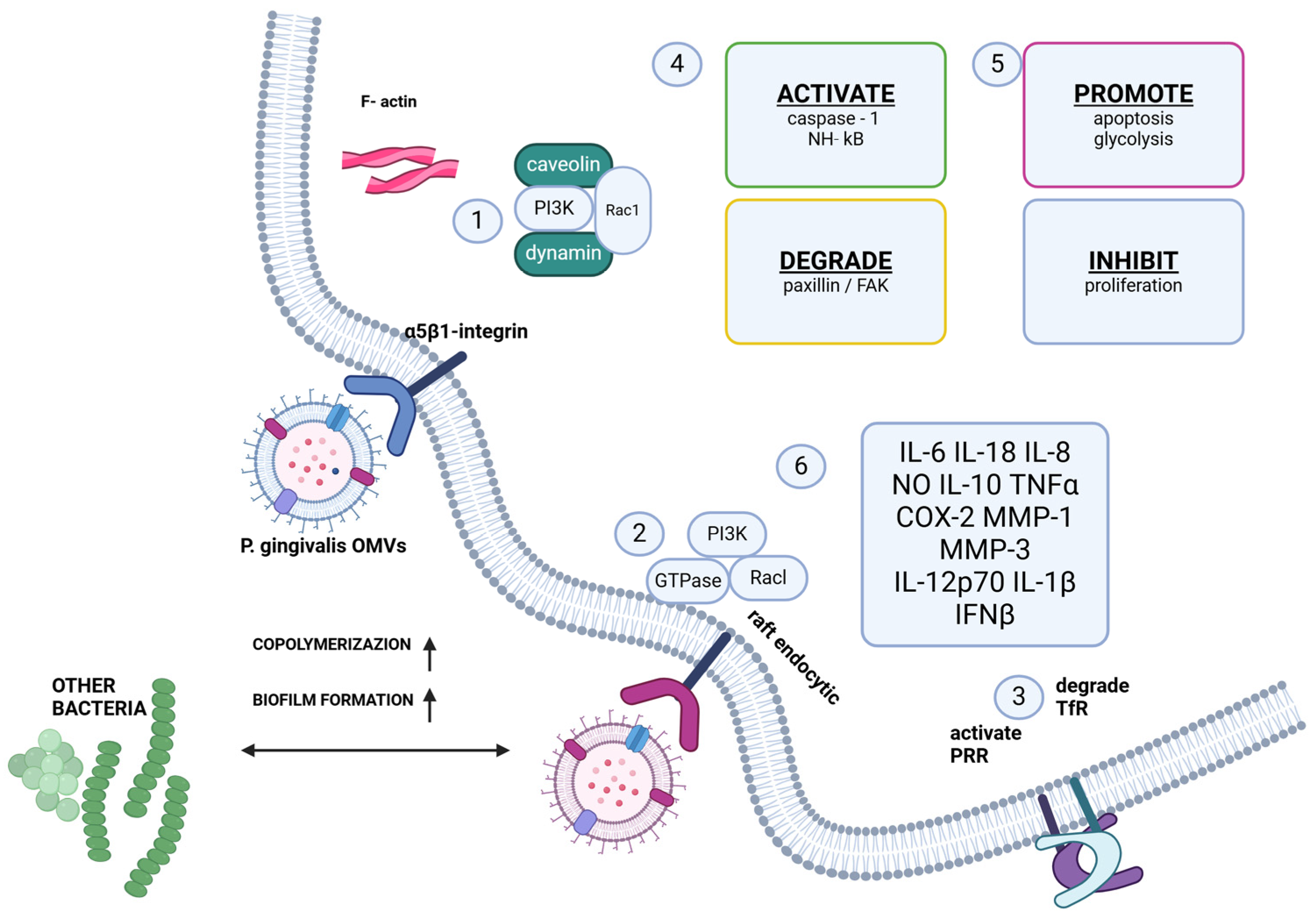 Applsci 15 06847 g001