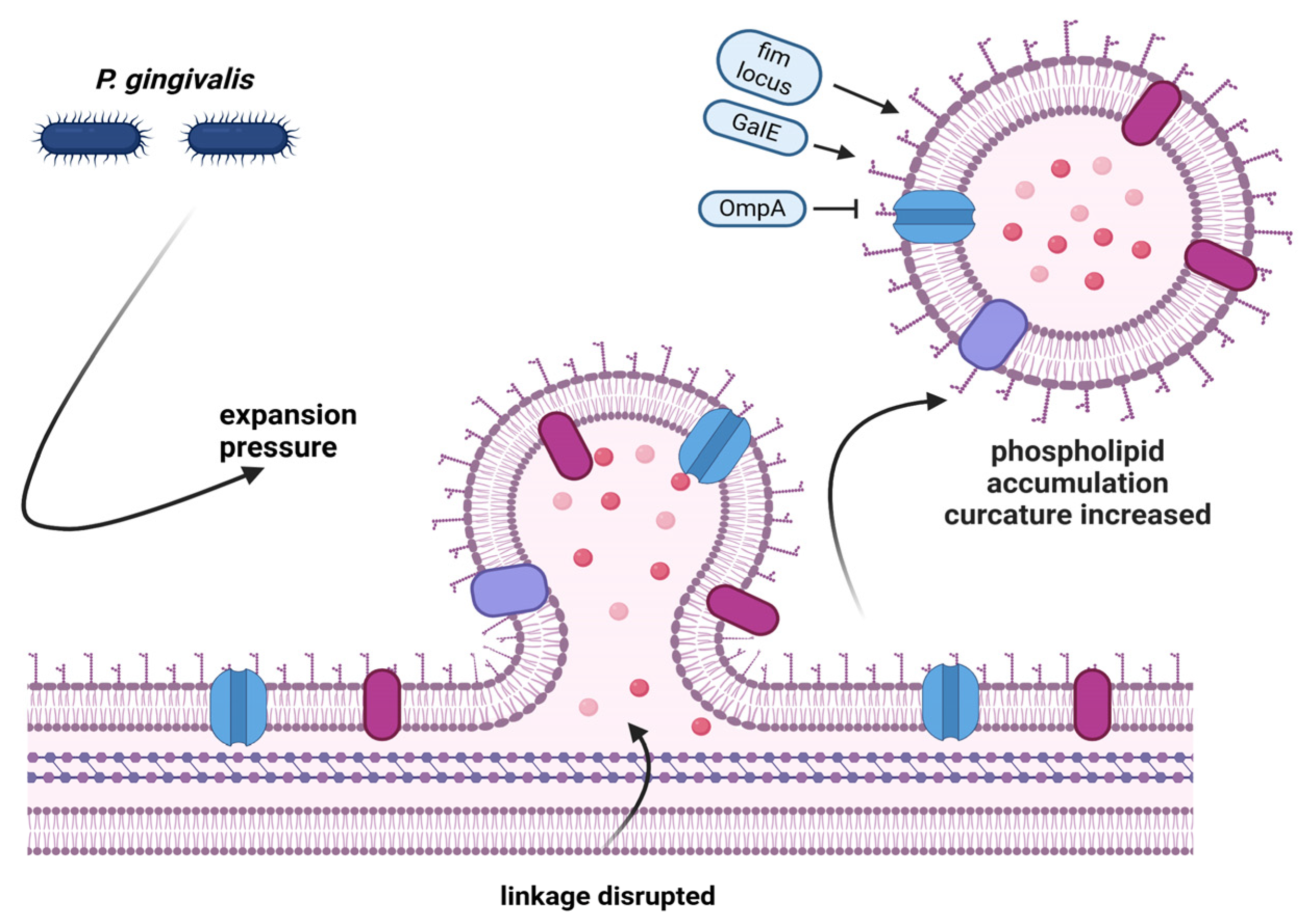 Applsci 15 06847 g002