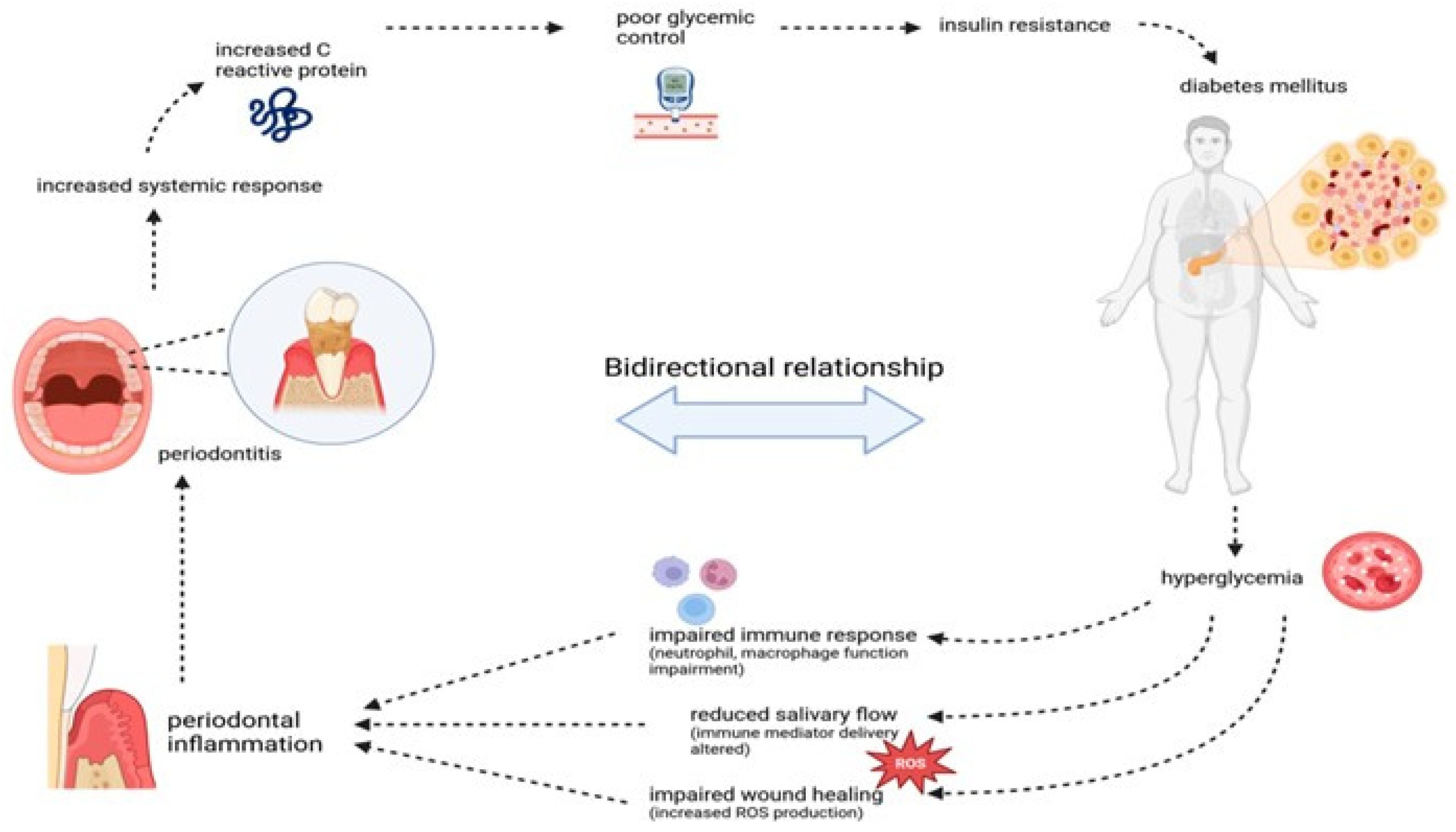 Applsci 15 06847 g003