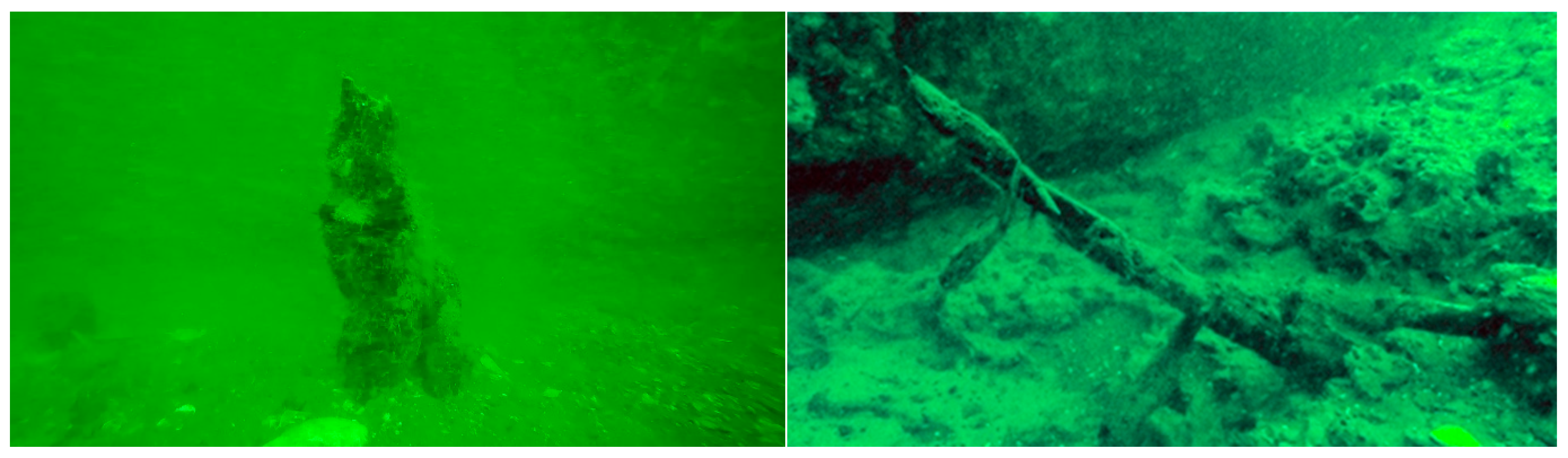 Applsci 15 06859 g003