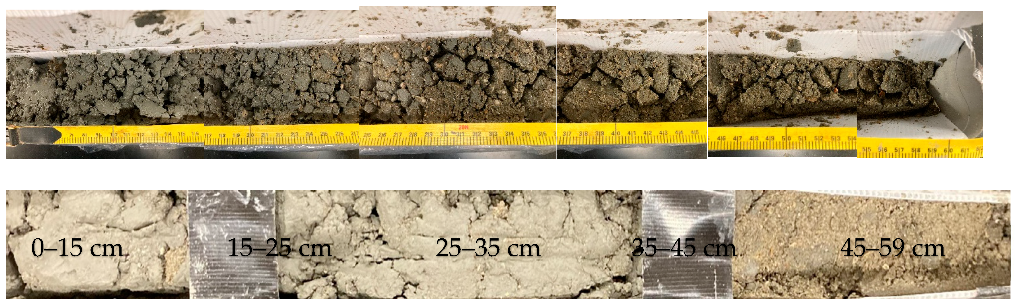 Applsci 15 06859 g004