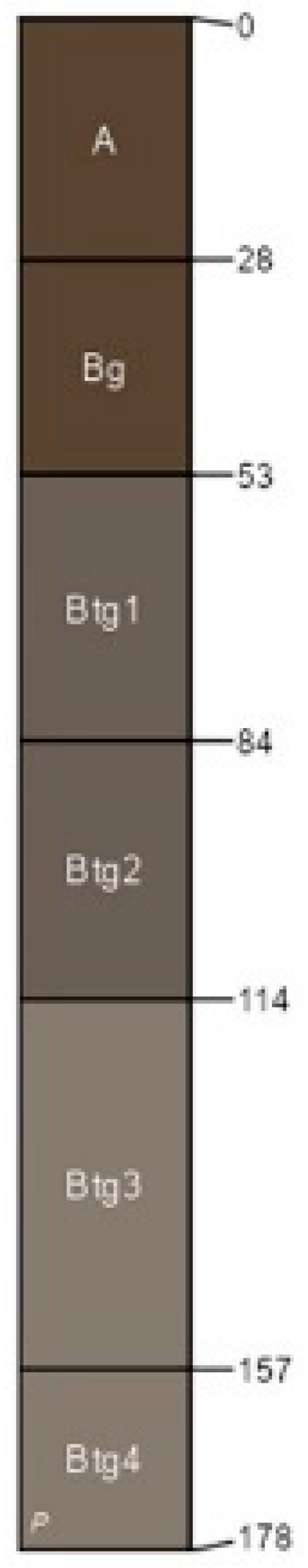 Applsci 15 06859 g005