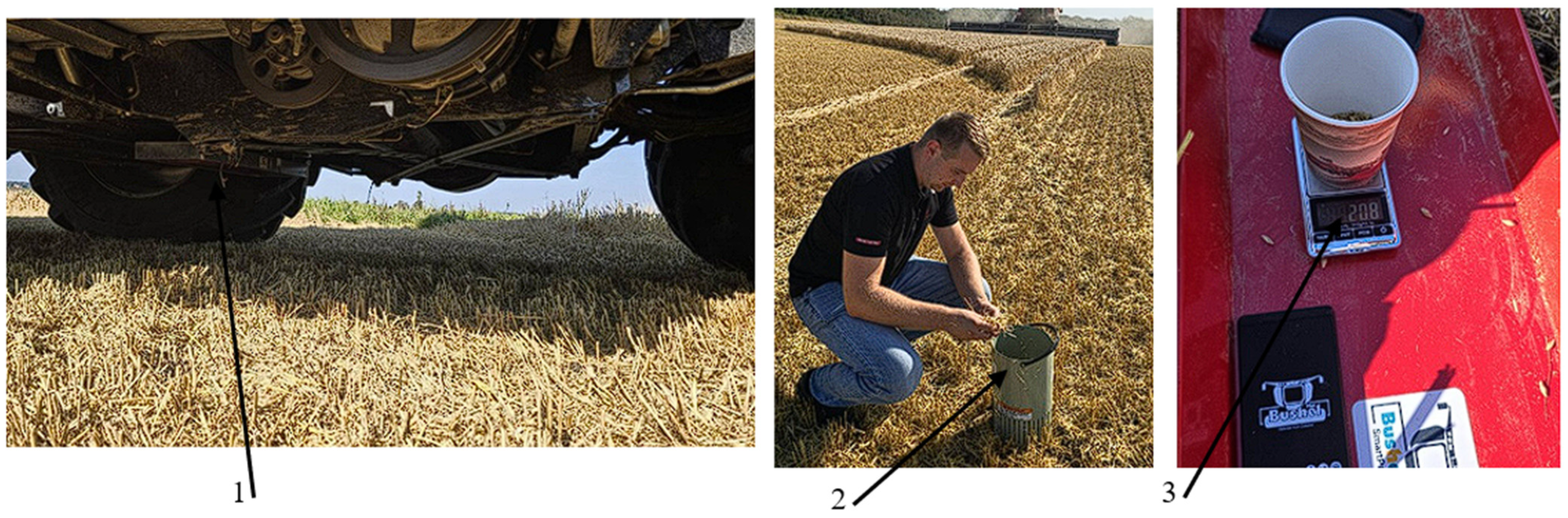 Applsci 15 06864 g008