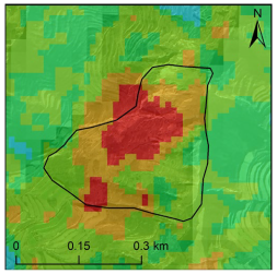 Applsci 15 06890 i016