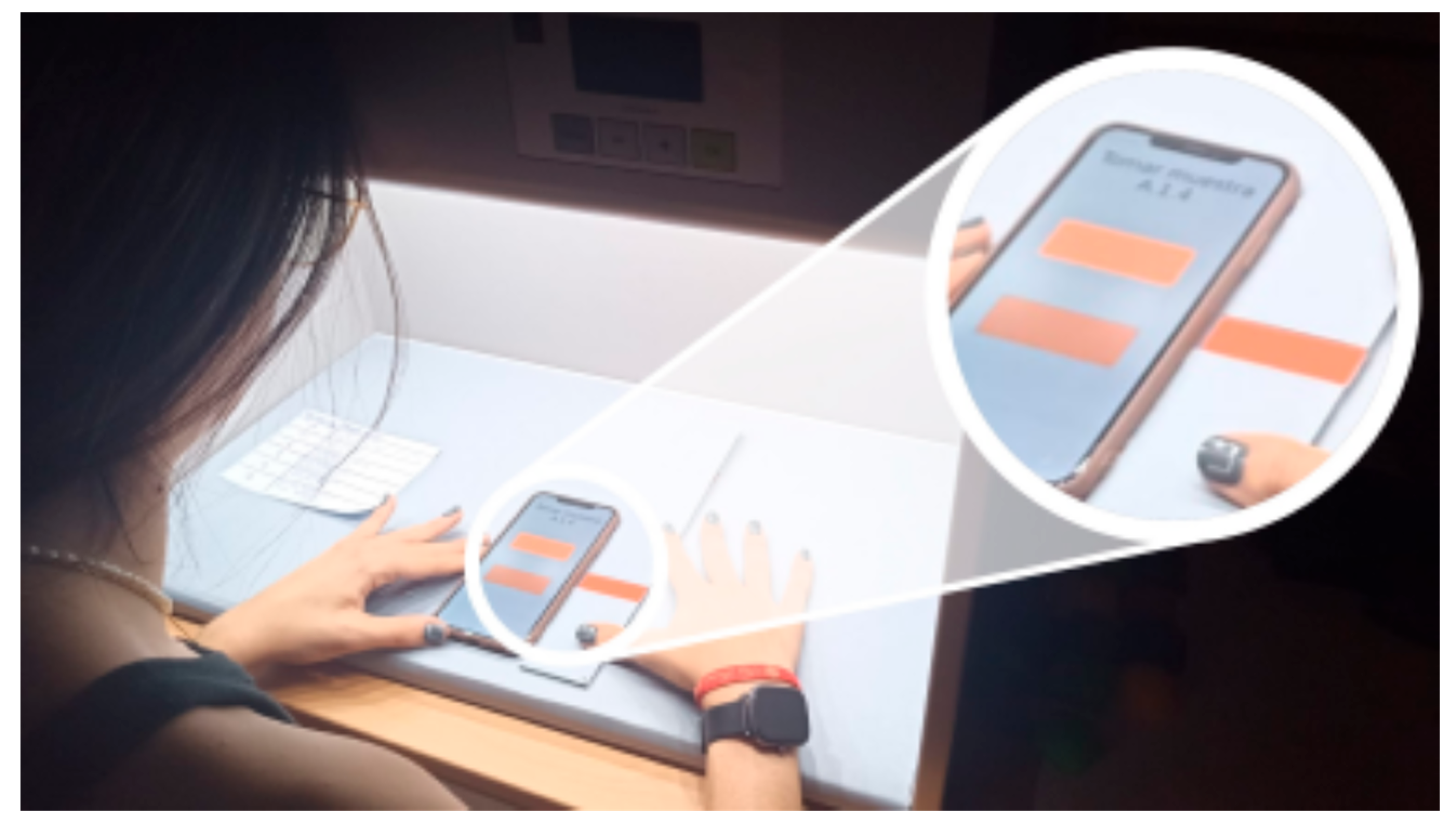 Applsci 15 06915 g003