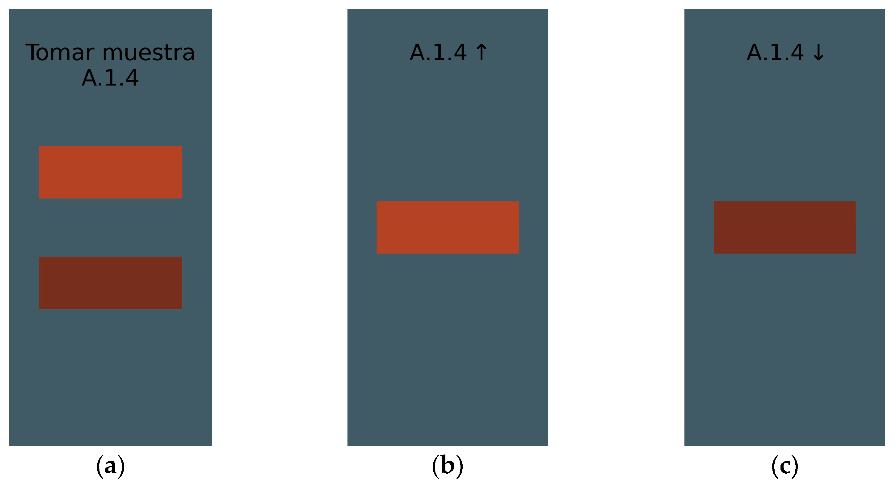 Applsci 15 06915 g004