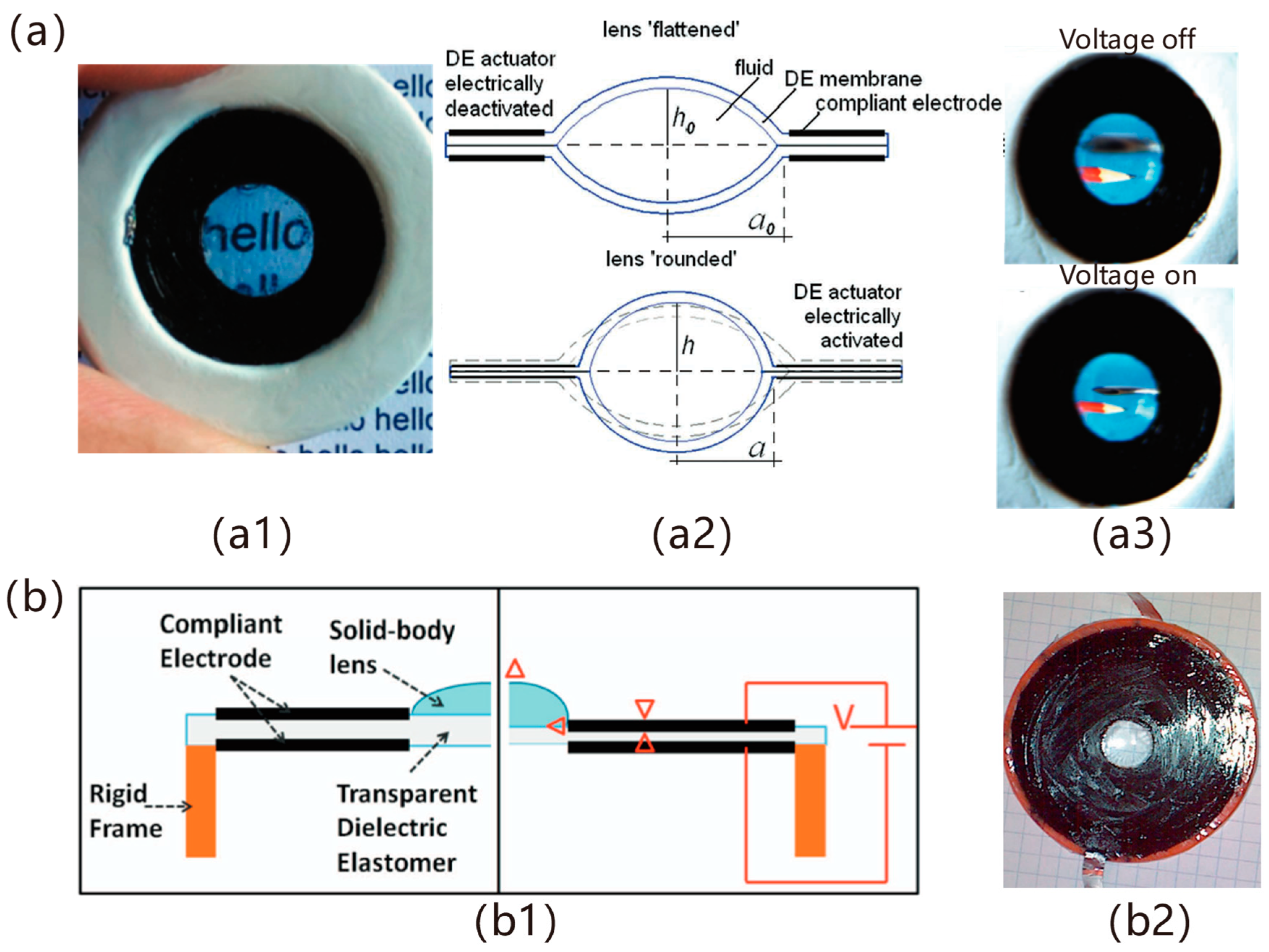 Applsci 15 06926 g002