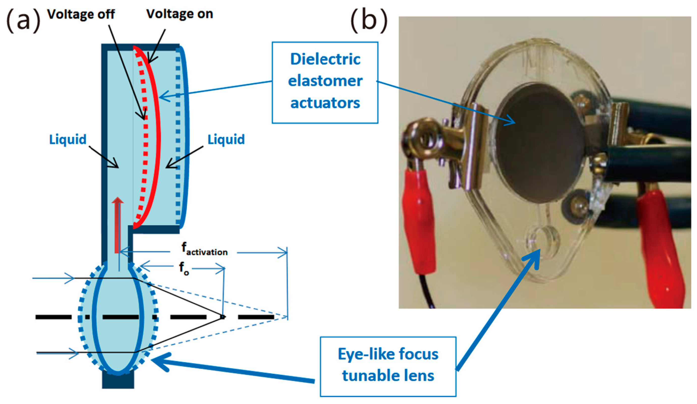 Applsci 15 06926 g003