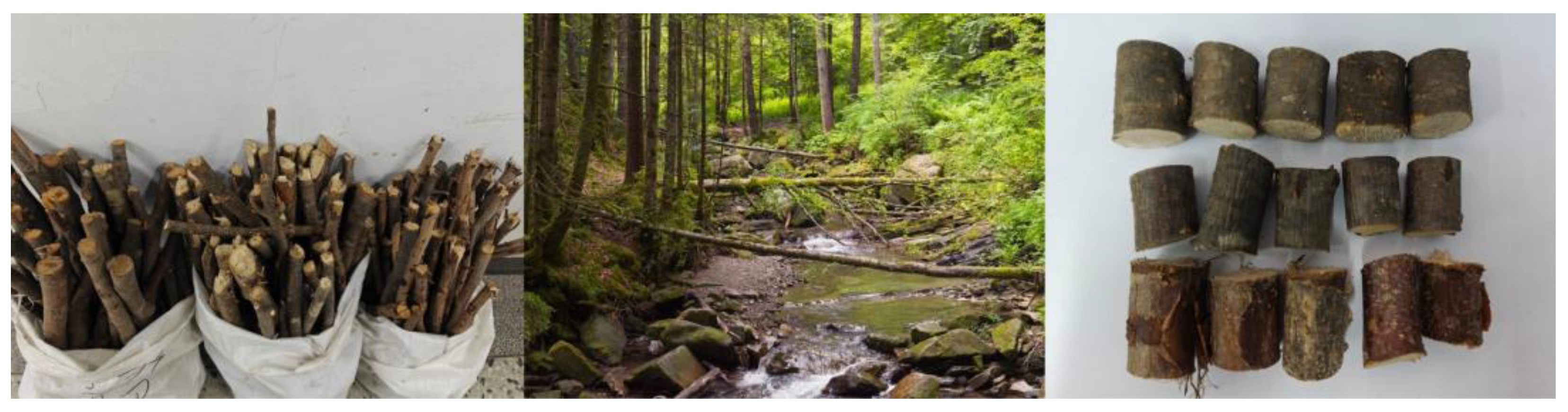 Applsci 15 06937 g001