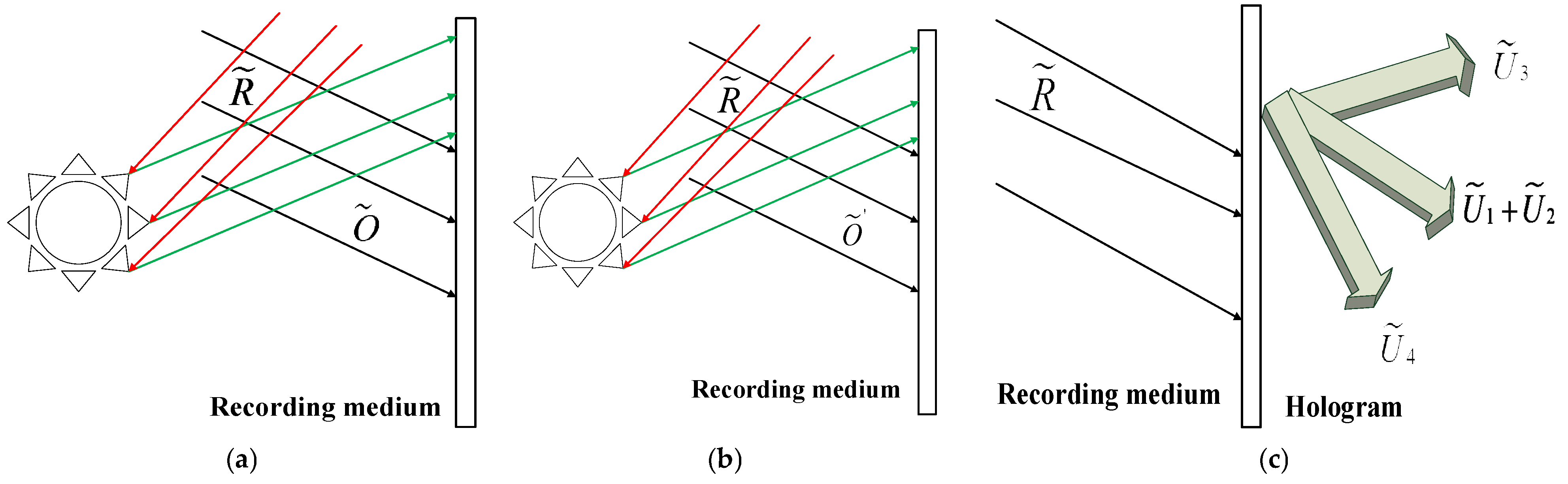 Applsci 15 06938 g002 Applsci 15 06938 g002