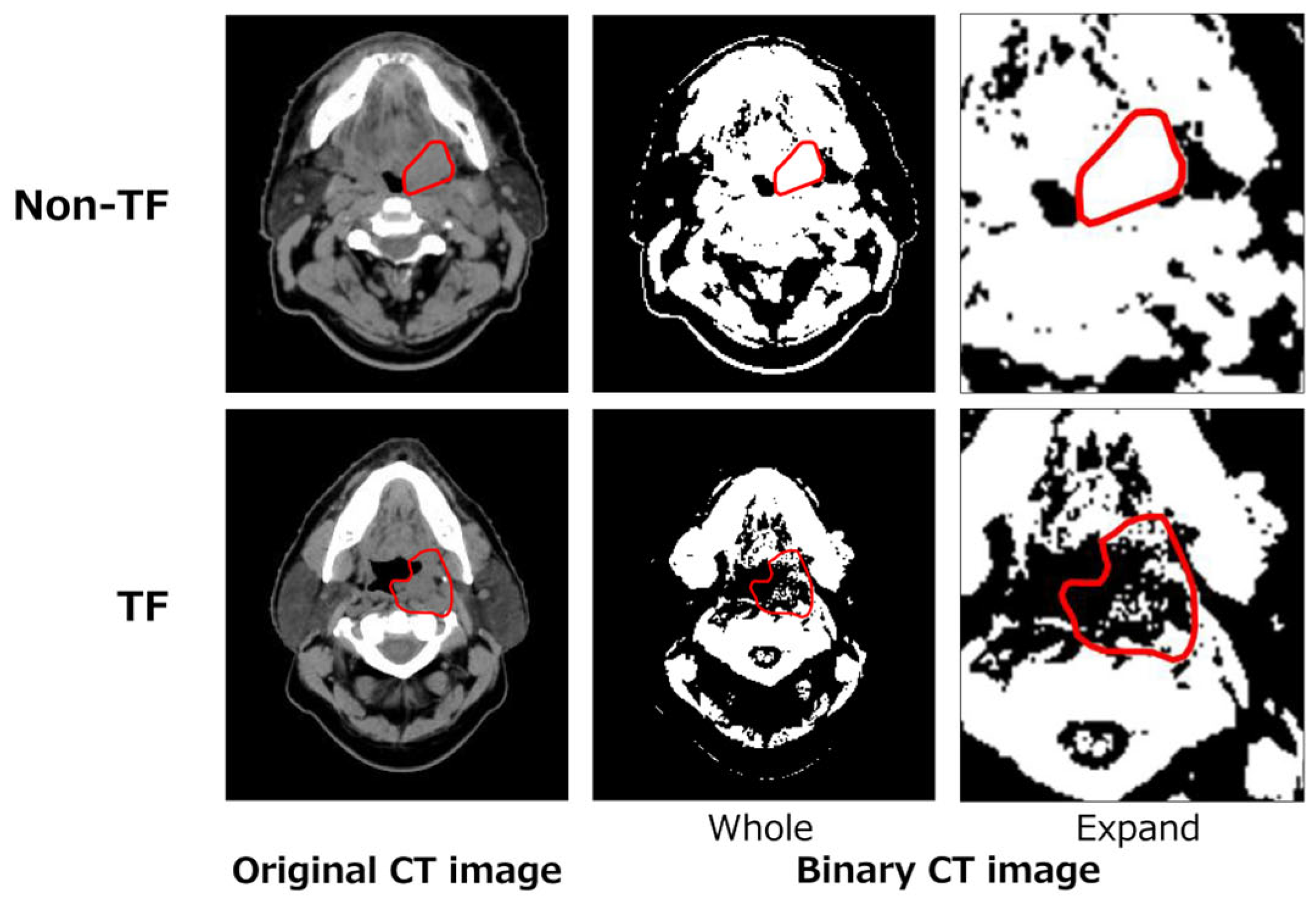 Applsci 15 06941 g001
