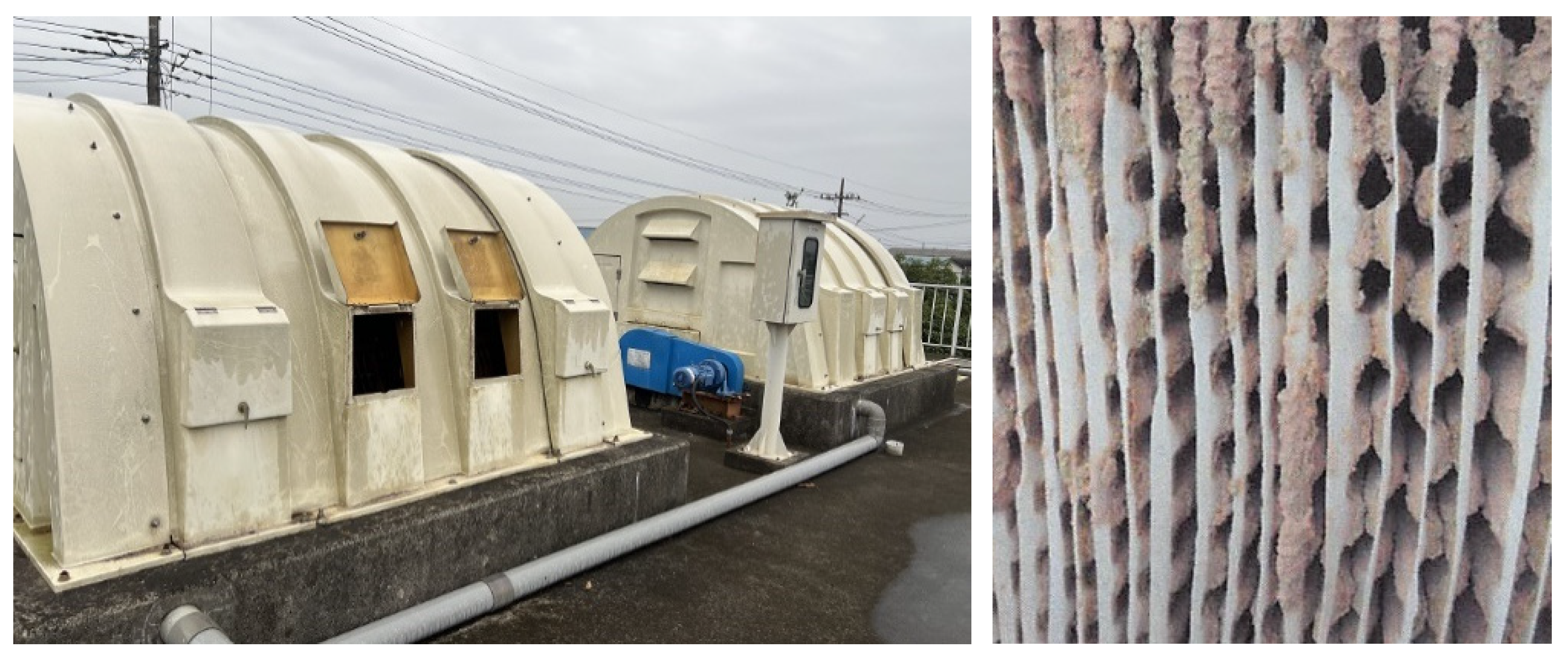 Applsci 15 06950 g003