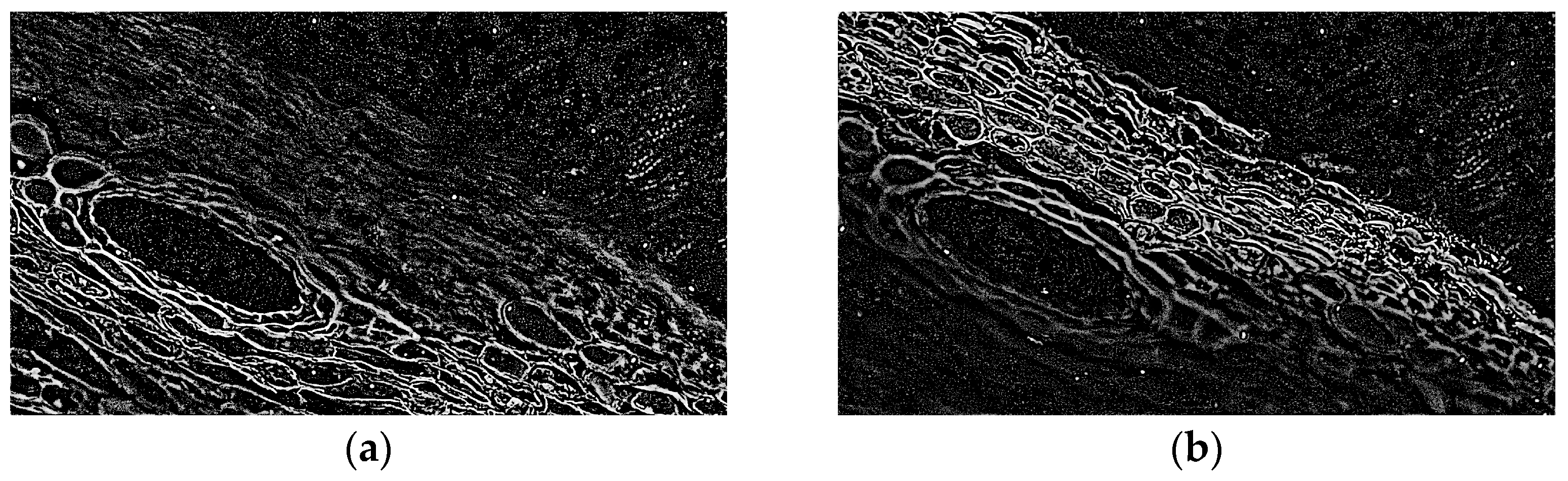 Applsci 15 06967 g002