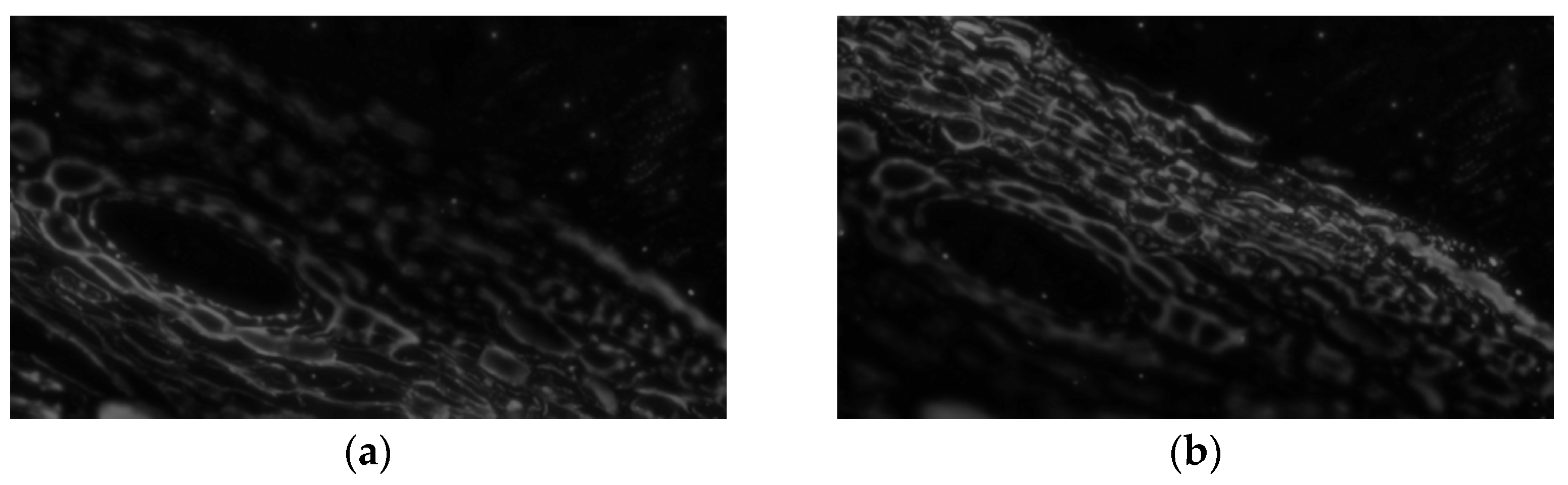 Applsci 15 06967 g003