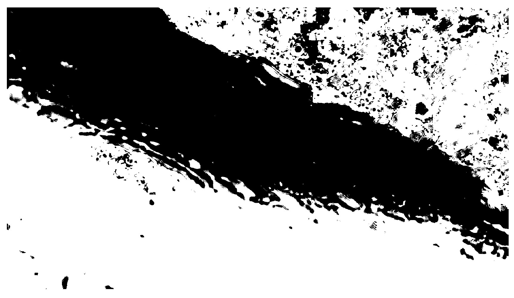 Applsci 15 06967 g004