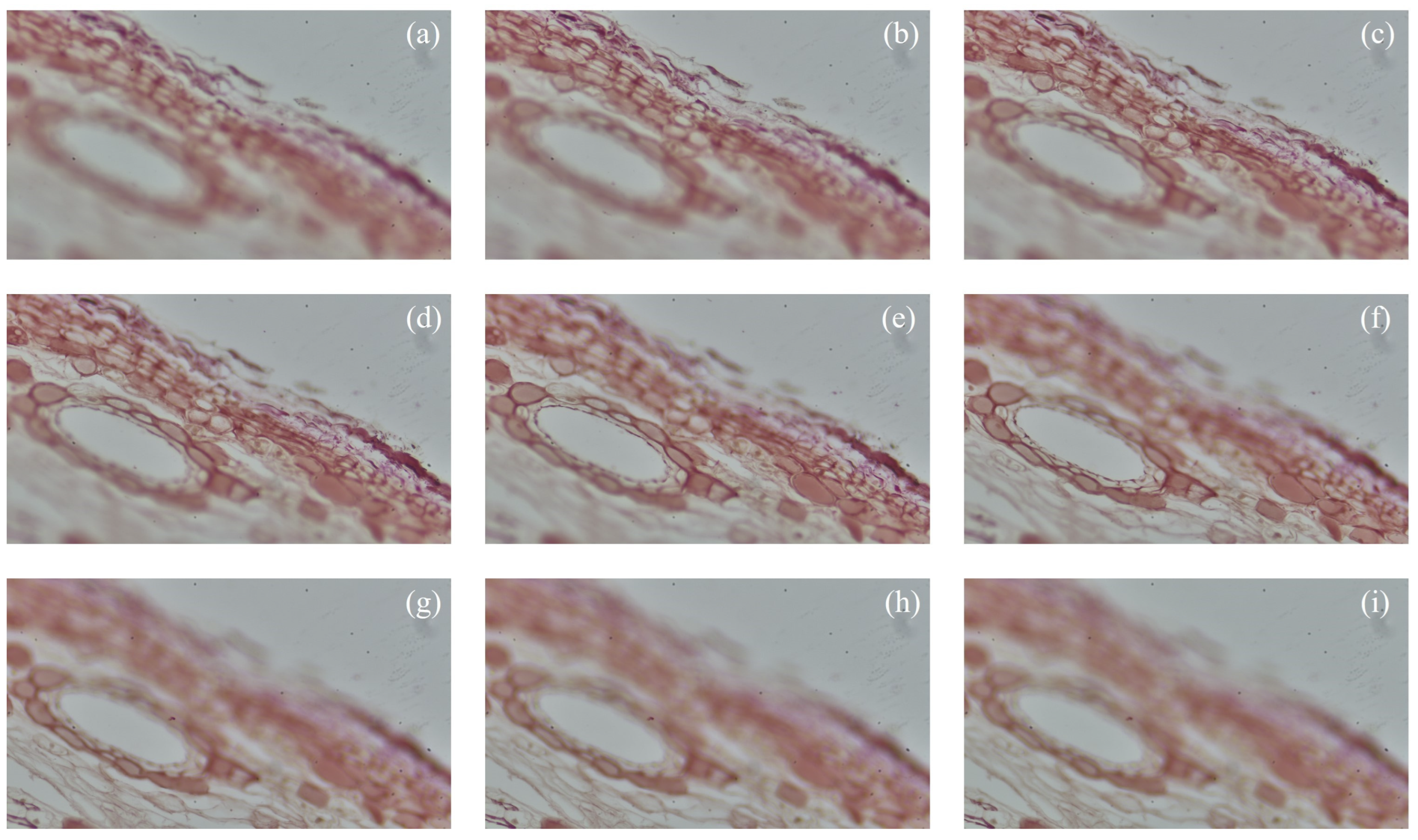 Applsci 15 06967 g006