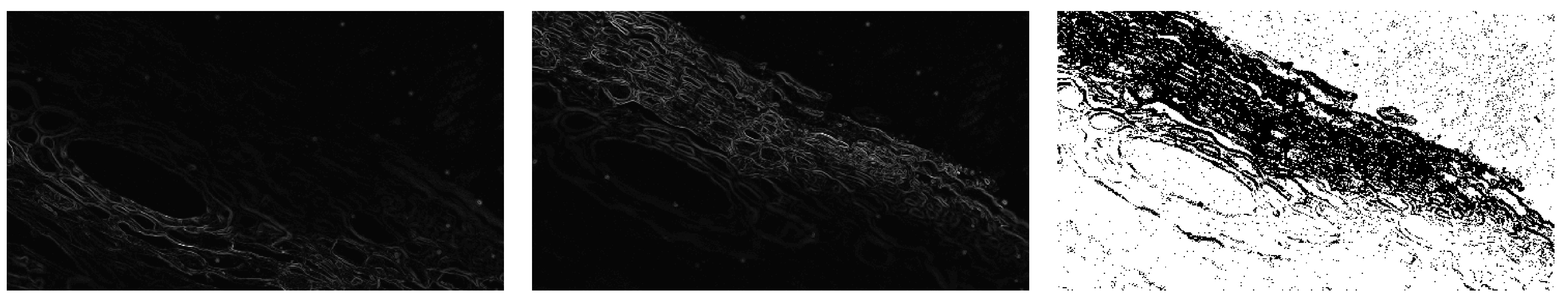 Applsci 15 06967 g012