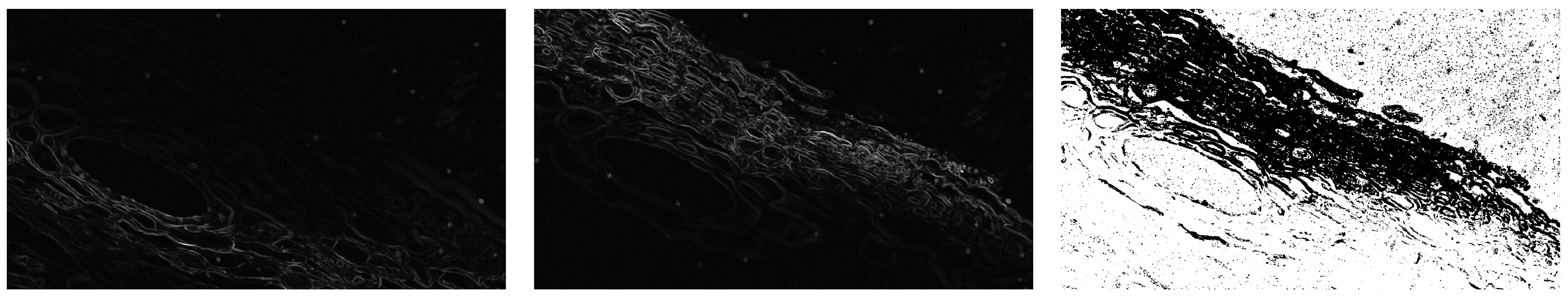 Applsci 15 06967 g013