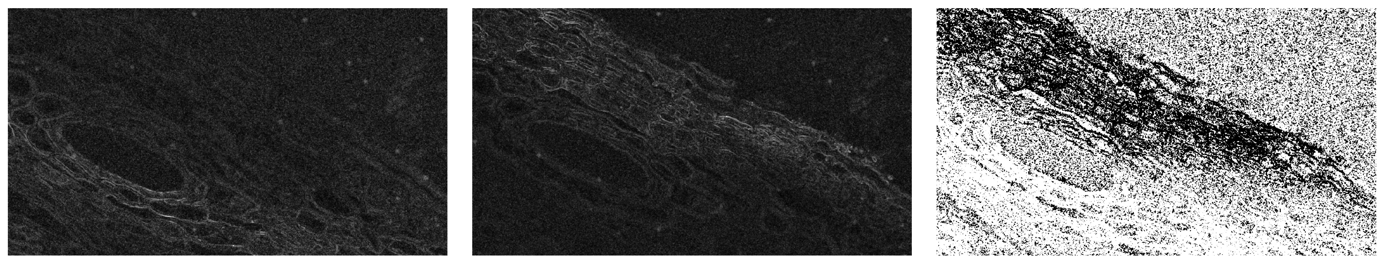 Applsci 15 06967 g014