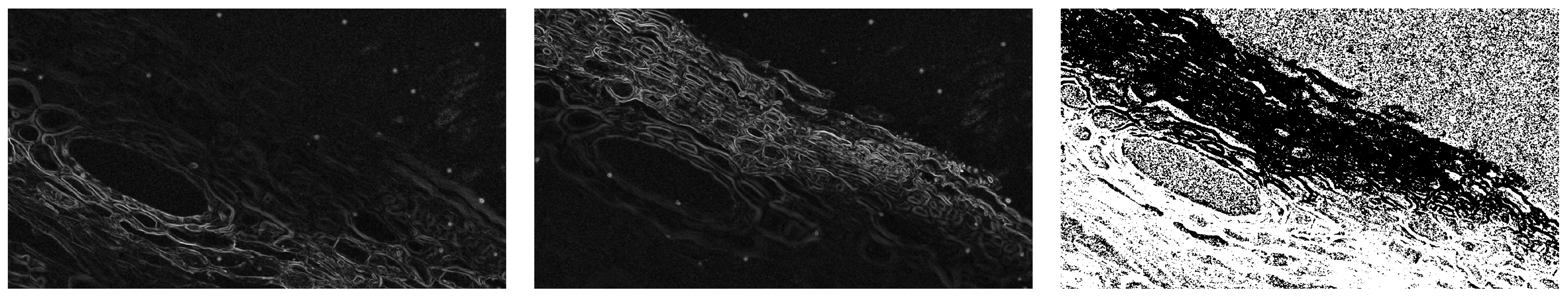 Applsci 15 06967 g015