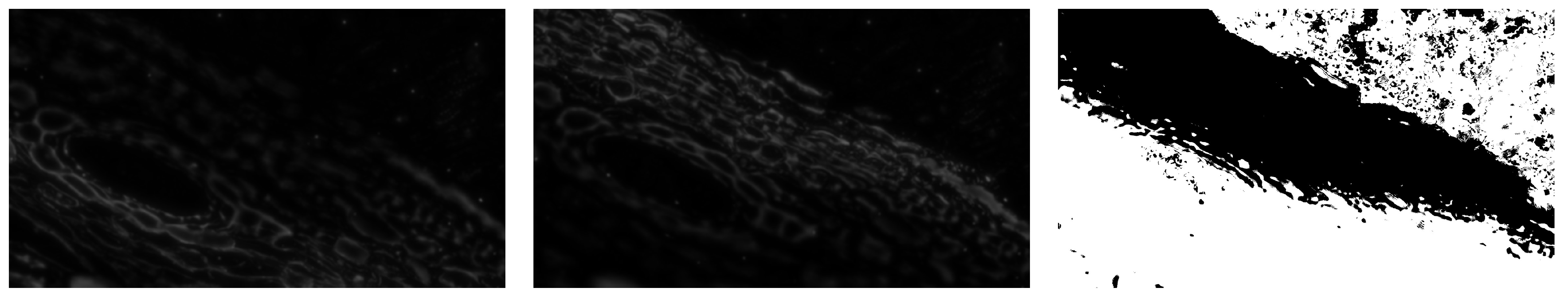 Applsci 15 06967 g016