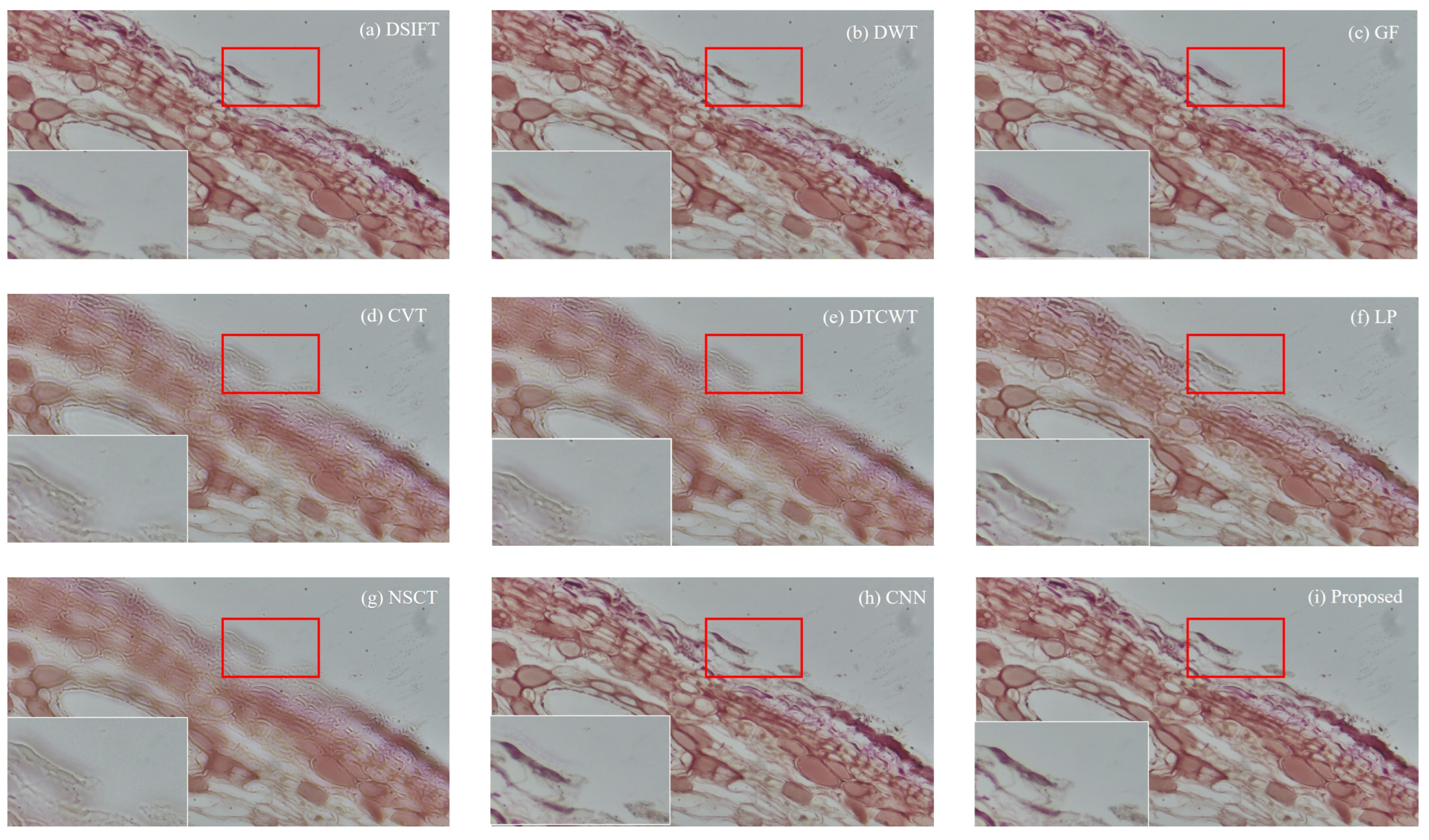 Applsci 15 06967 g017