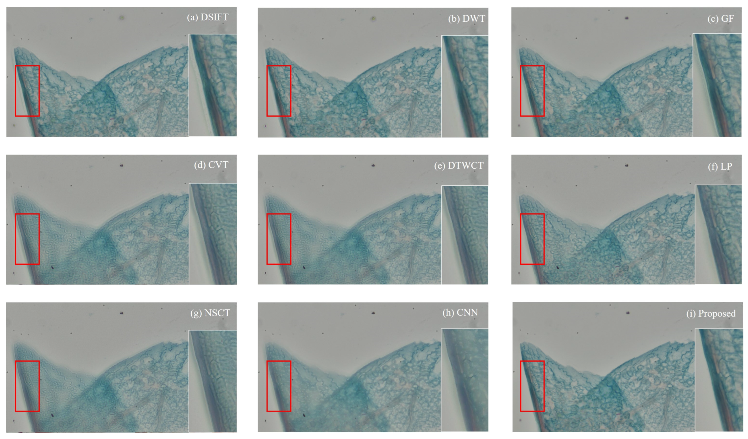 Applsci 15 06967 g018