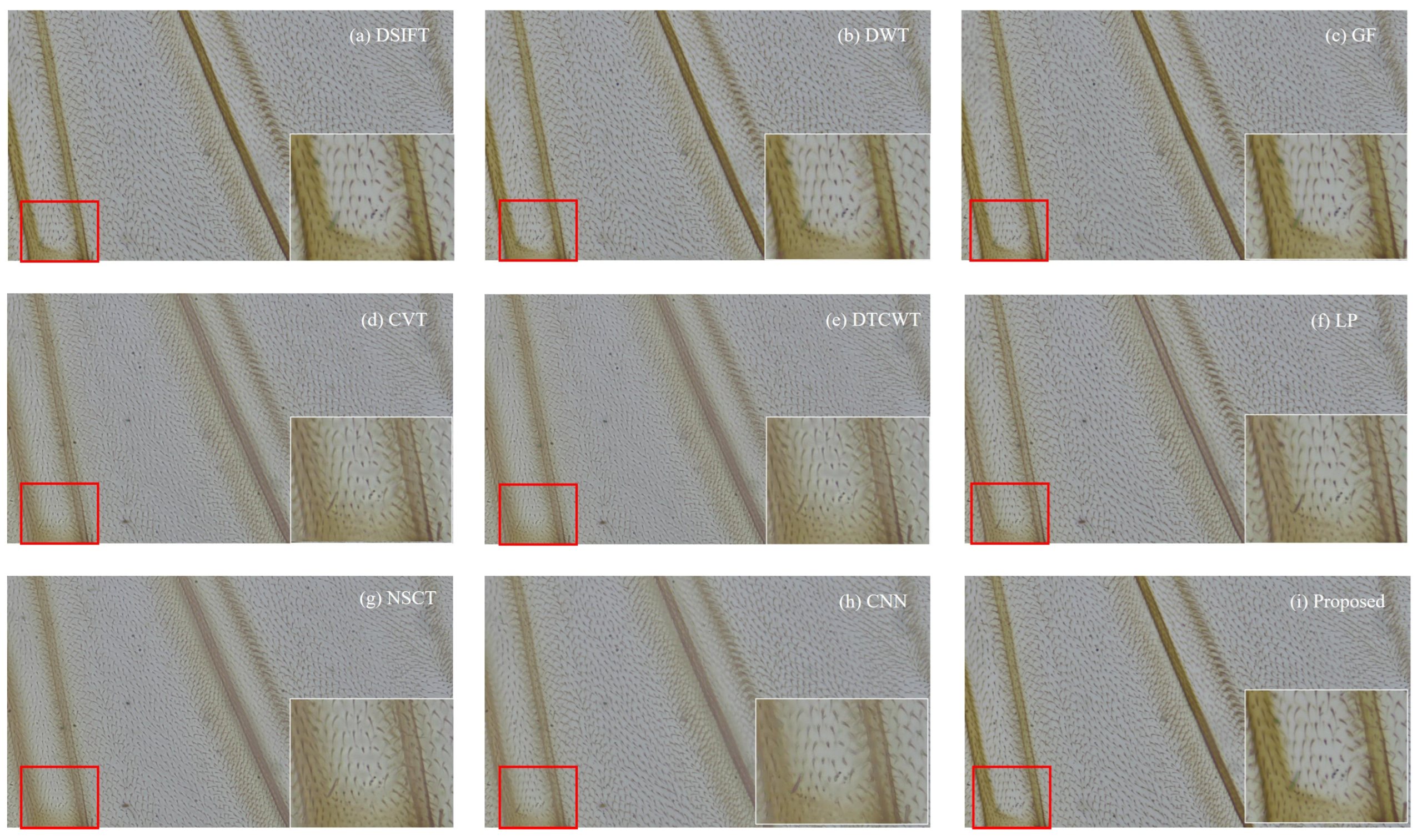 Applsci 15 06967 g019