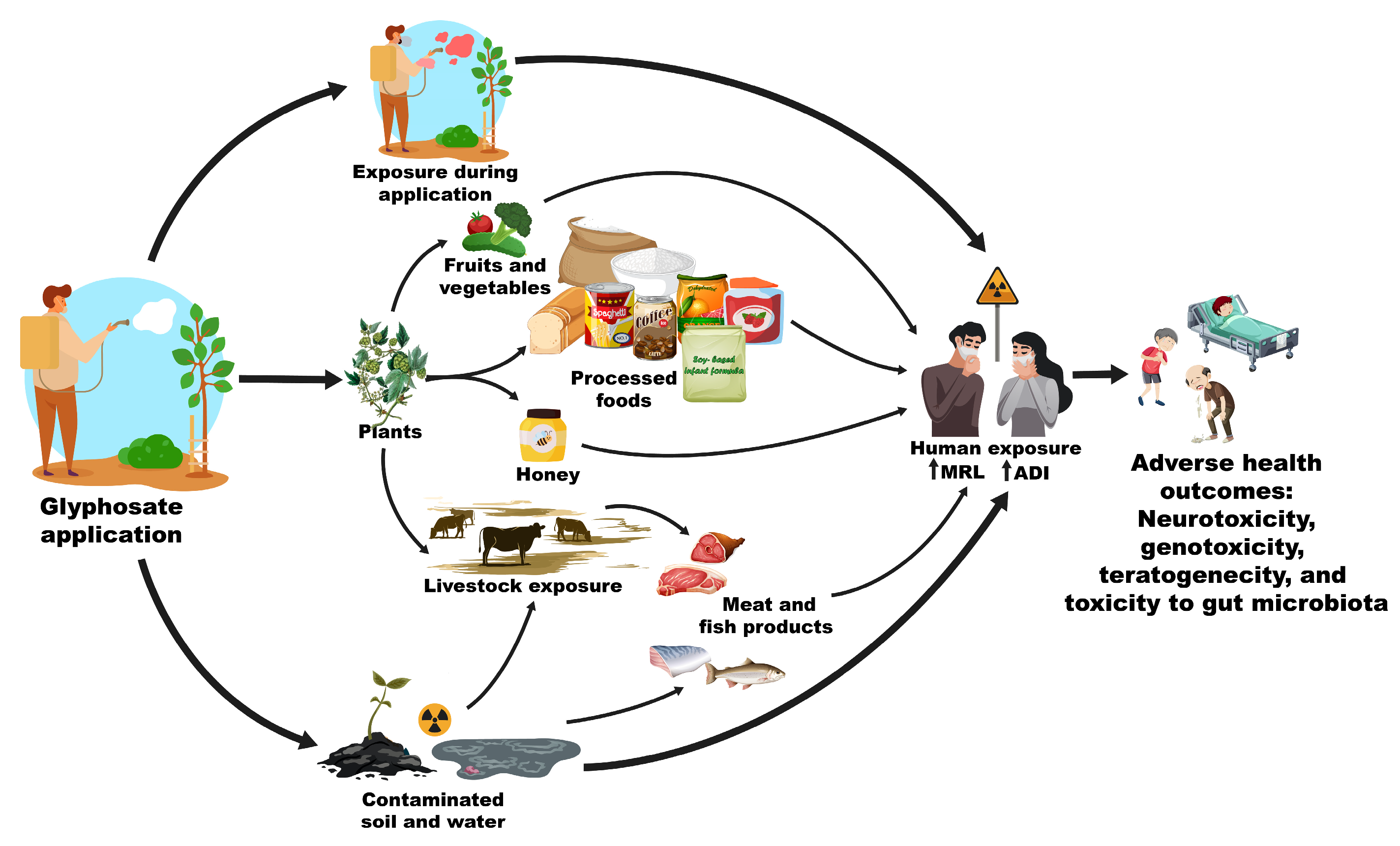 Applsci 15 06979 g001