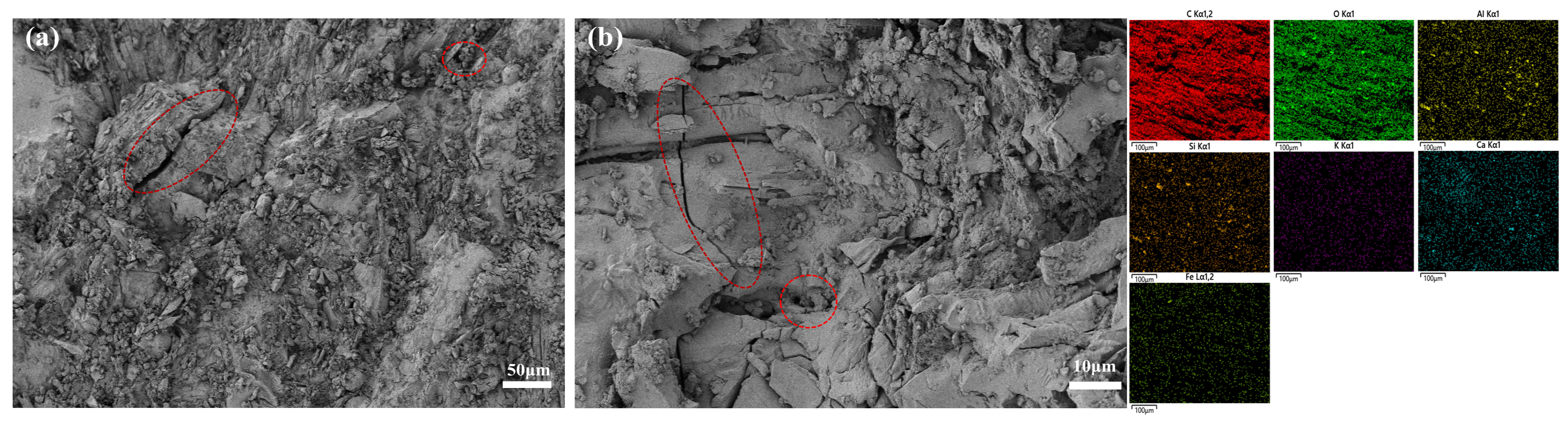 Applsci 15 07013 g005