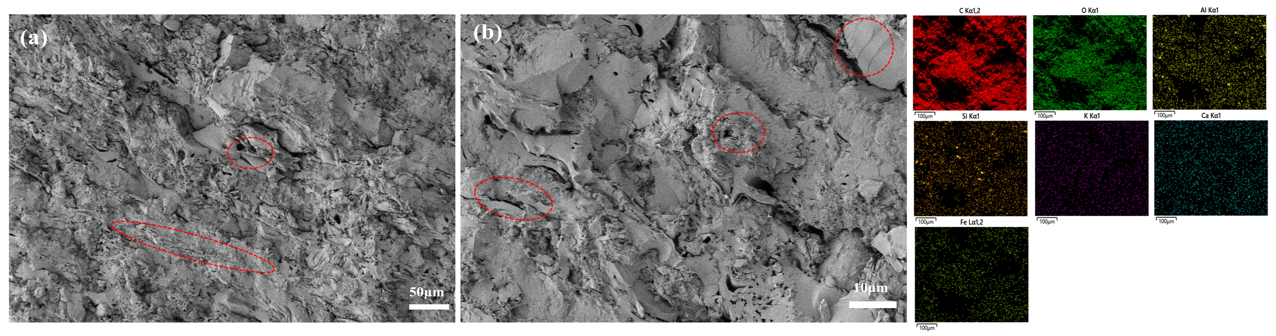 Applsci 15 07013 g006