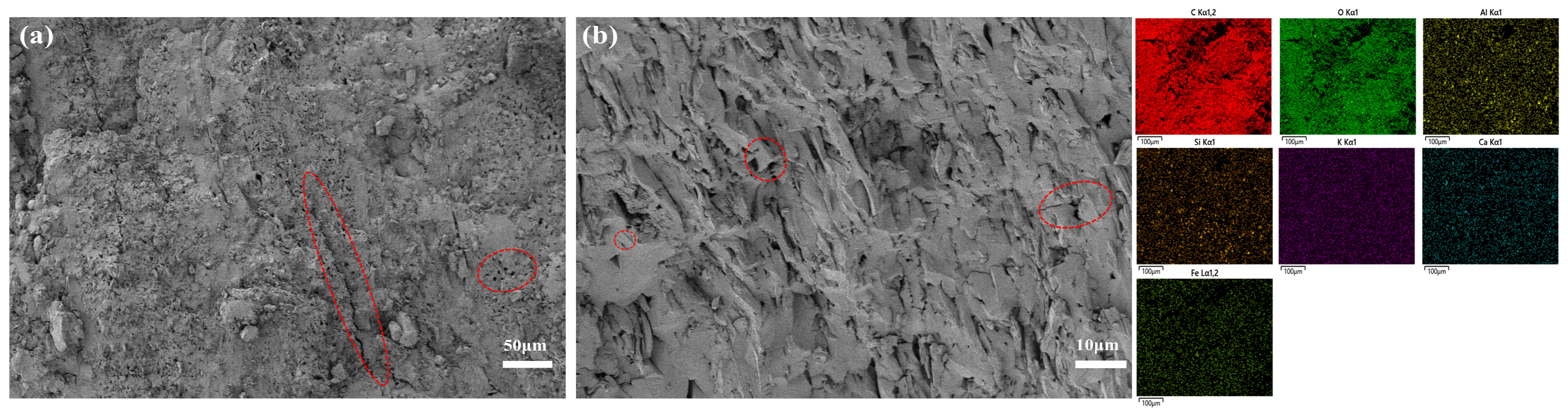 Applsci 15 07013 g008