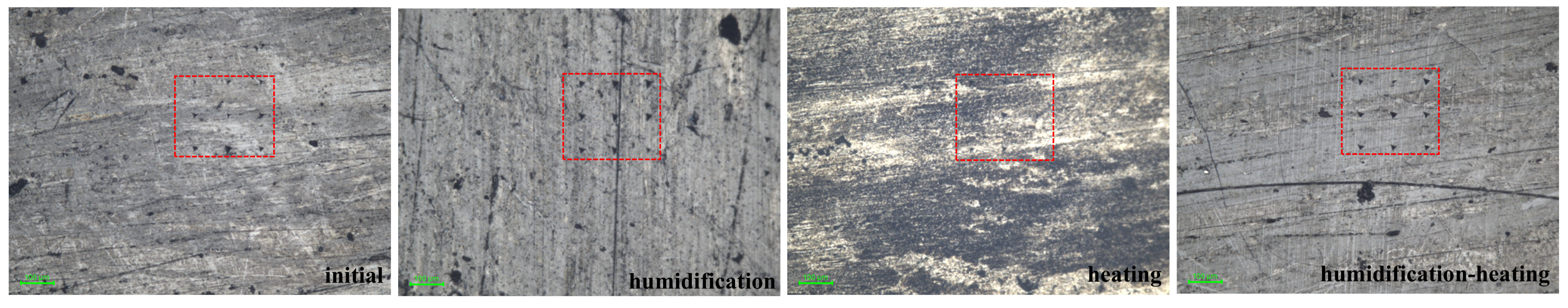 Applsci 15 07013 g010