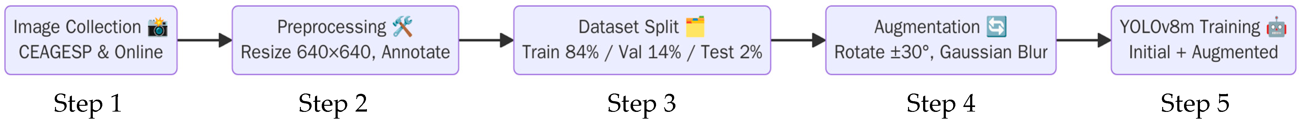 Applsci 15 07024 g001