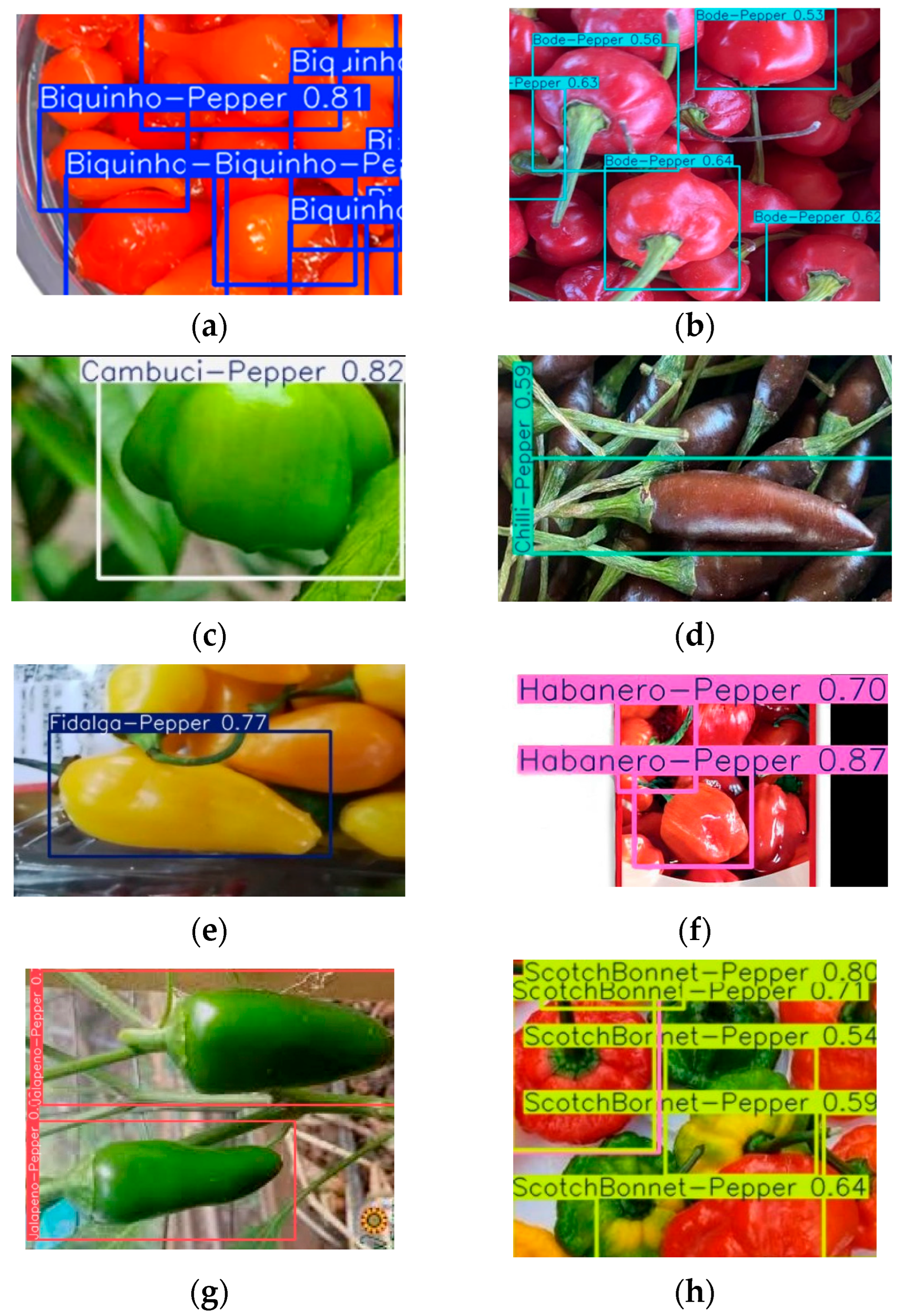Applsci 15 07024 g005