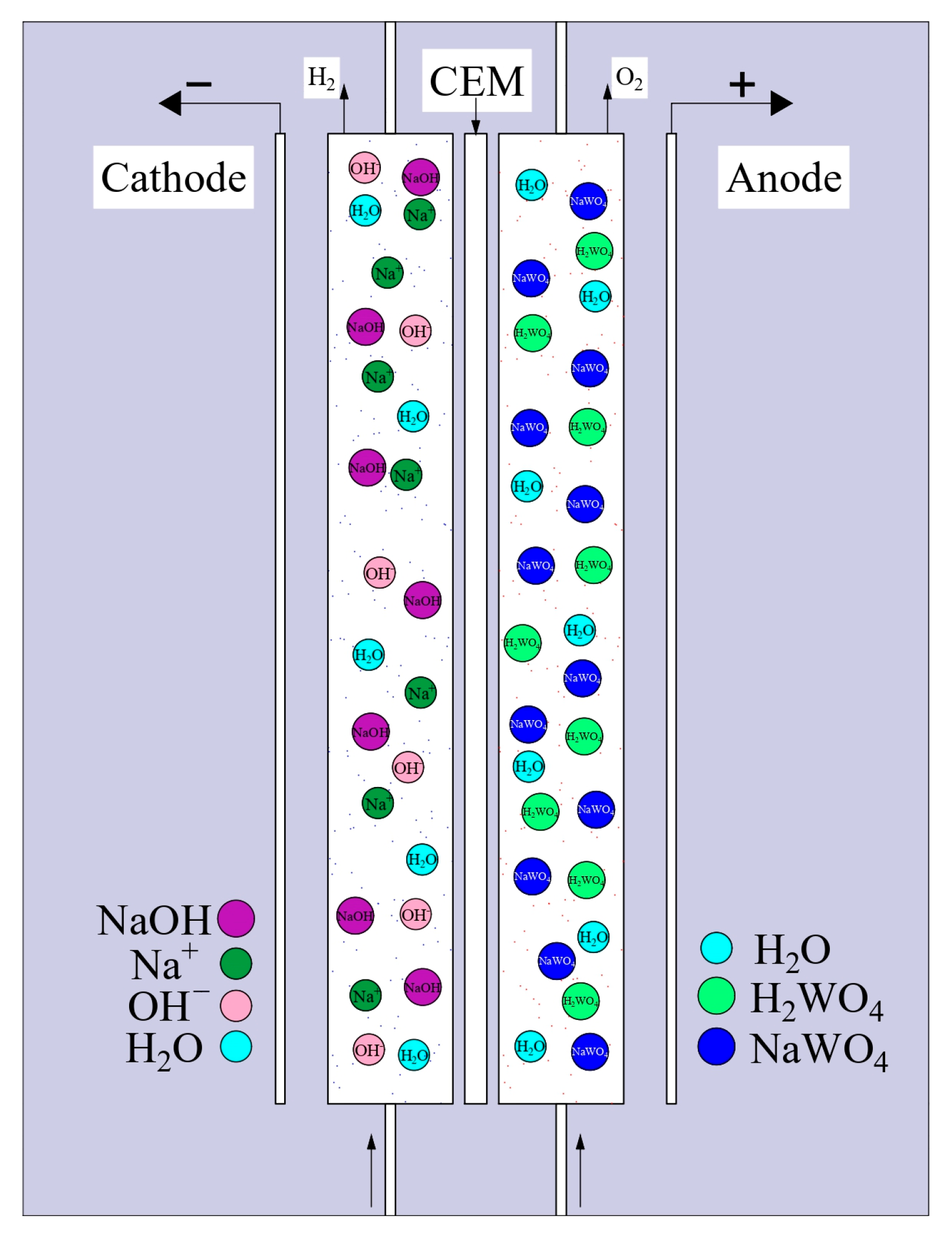 Applsci 15 07033 g002